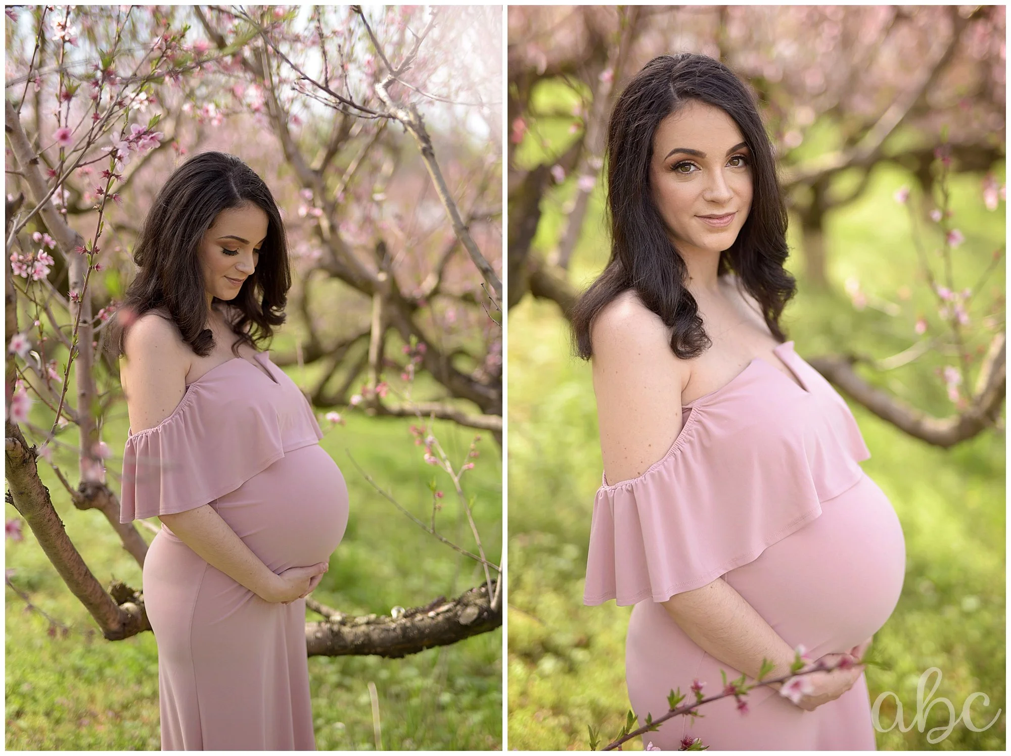 Pregnant Chiropractor is holding her belly in the cherry blossoms, while discussing Chiropractic care with her Roswell doula photographer