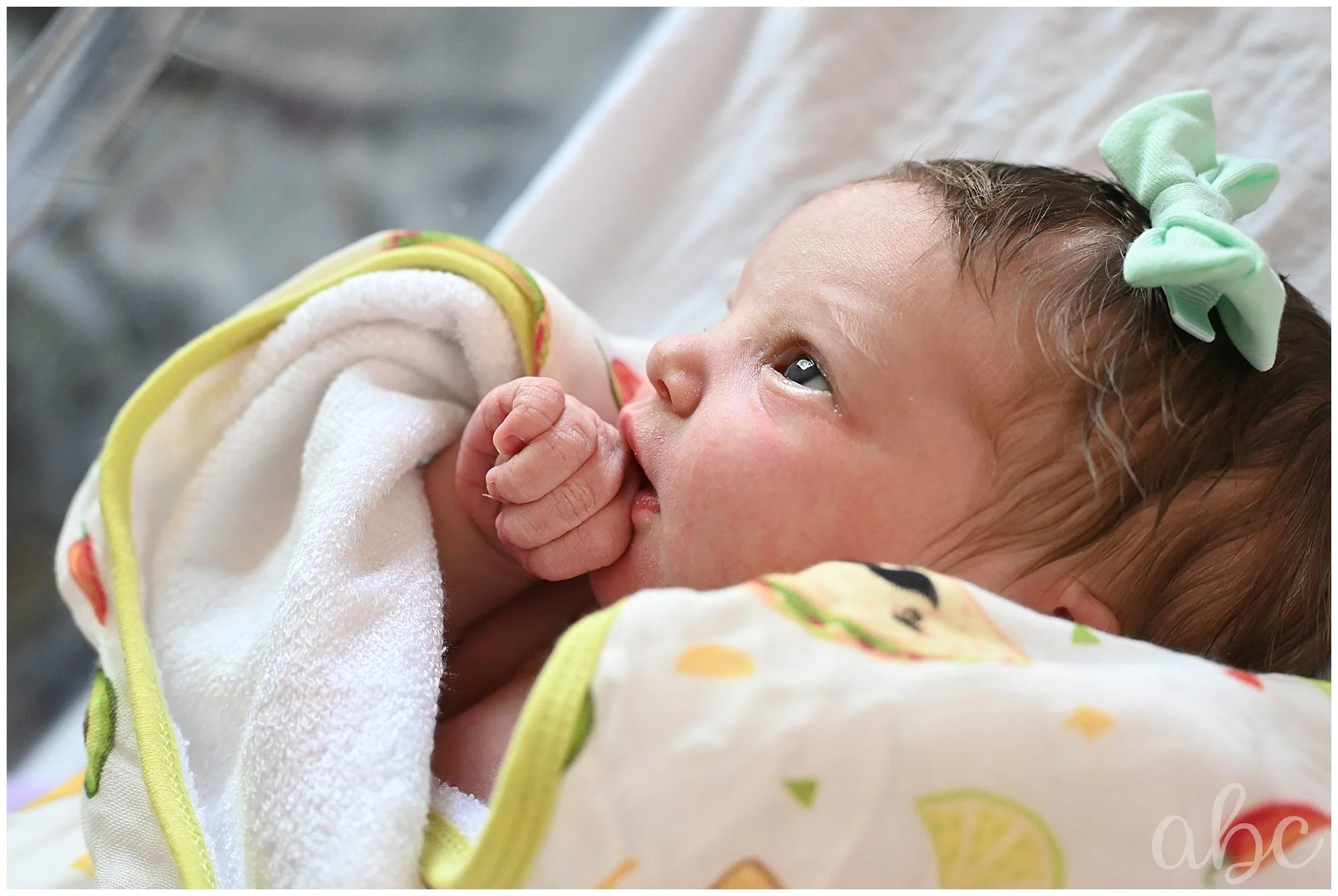newborn baby looks out the window while woodstock doula takes photos