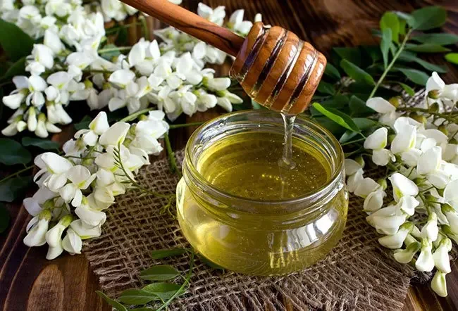 what-is-acacia-honey-good-for.jpg.webp