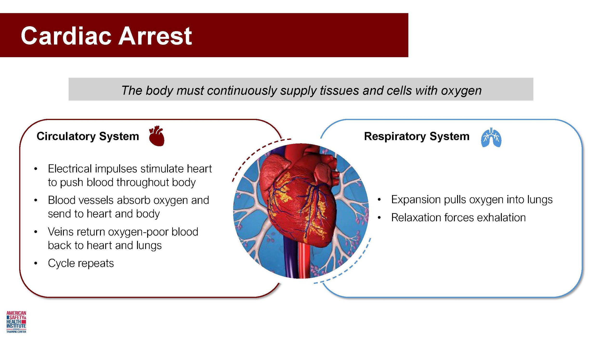 AMR CPR and AED Powerpoint_Page_02.jpg