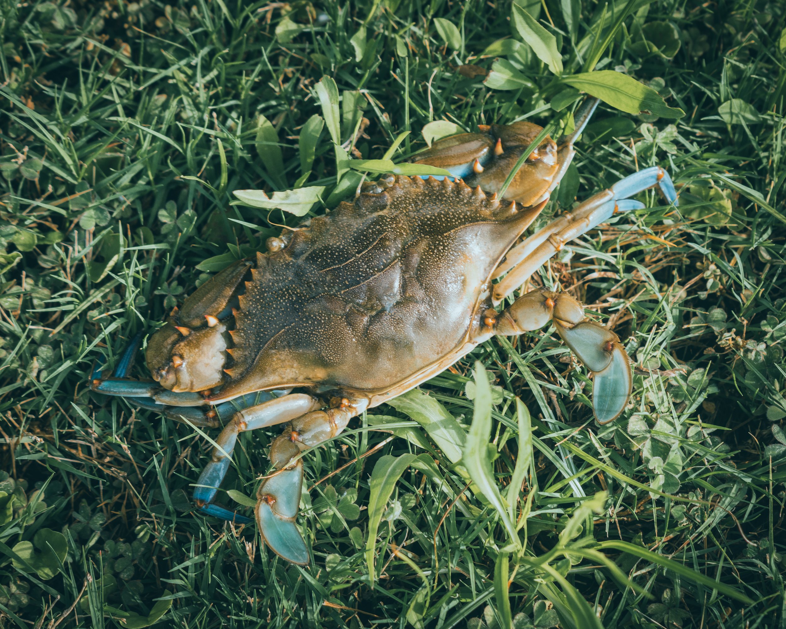 The Outer Banks | Photo Diary