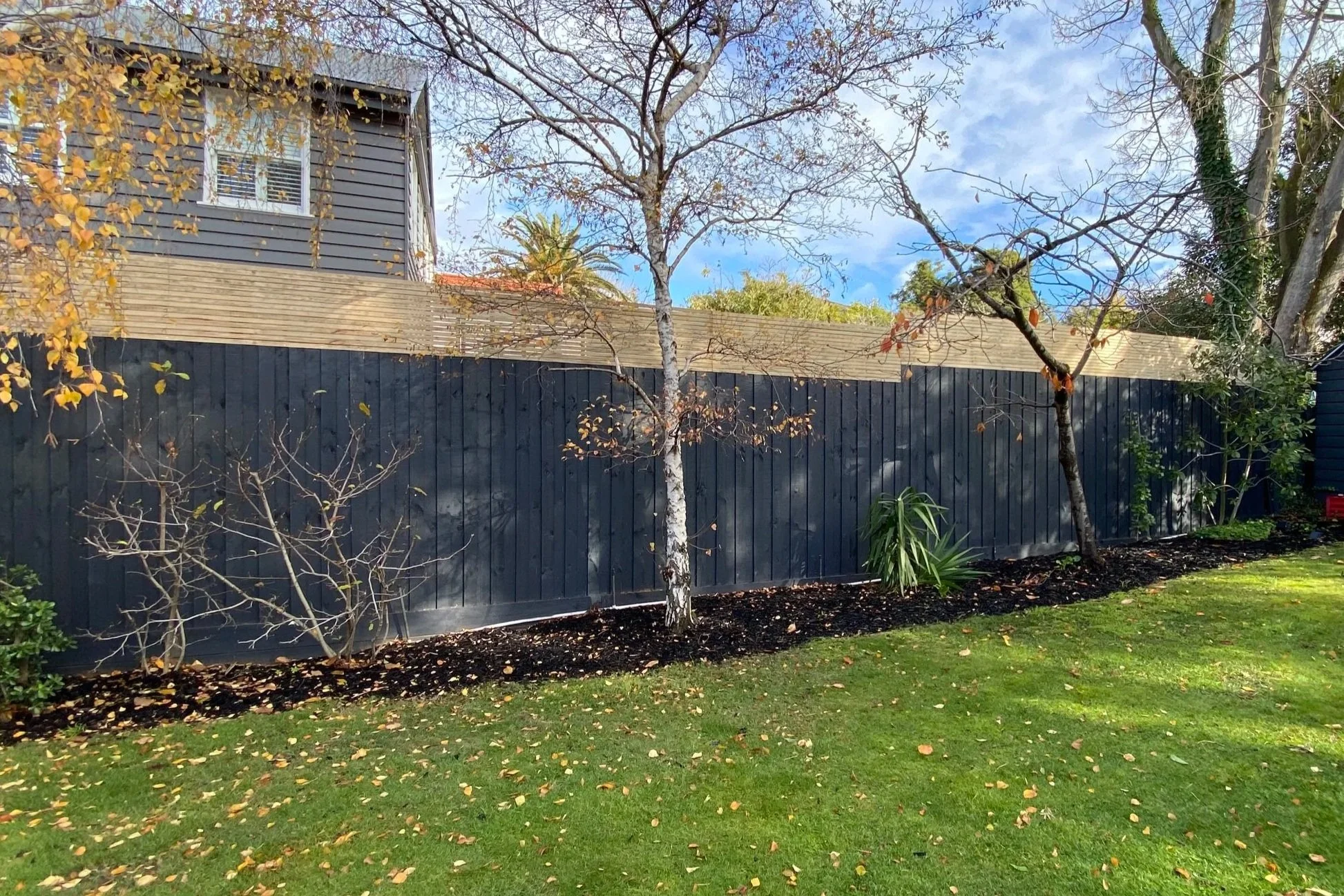 A backyard with a dark wooden fence, a tree without leaves in the foreground, and a house with horizontal siding in the background, under a partly cloudy sky.