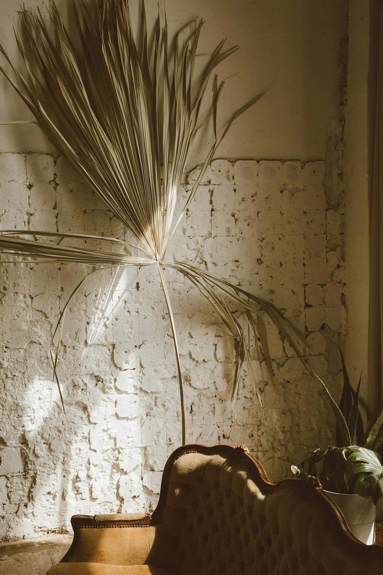 A dried palm leaf arranged on a white brick wall along with a potted plant, with a vintage-style sofa in the foreground.