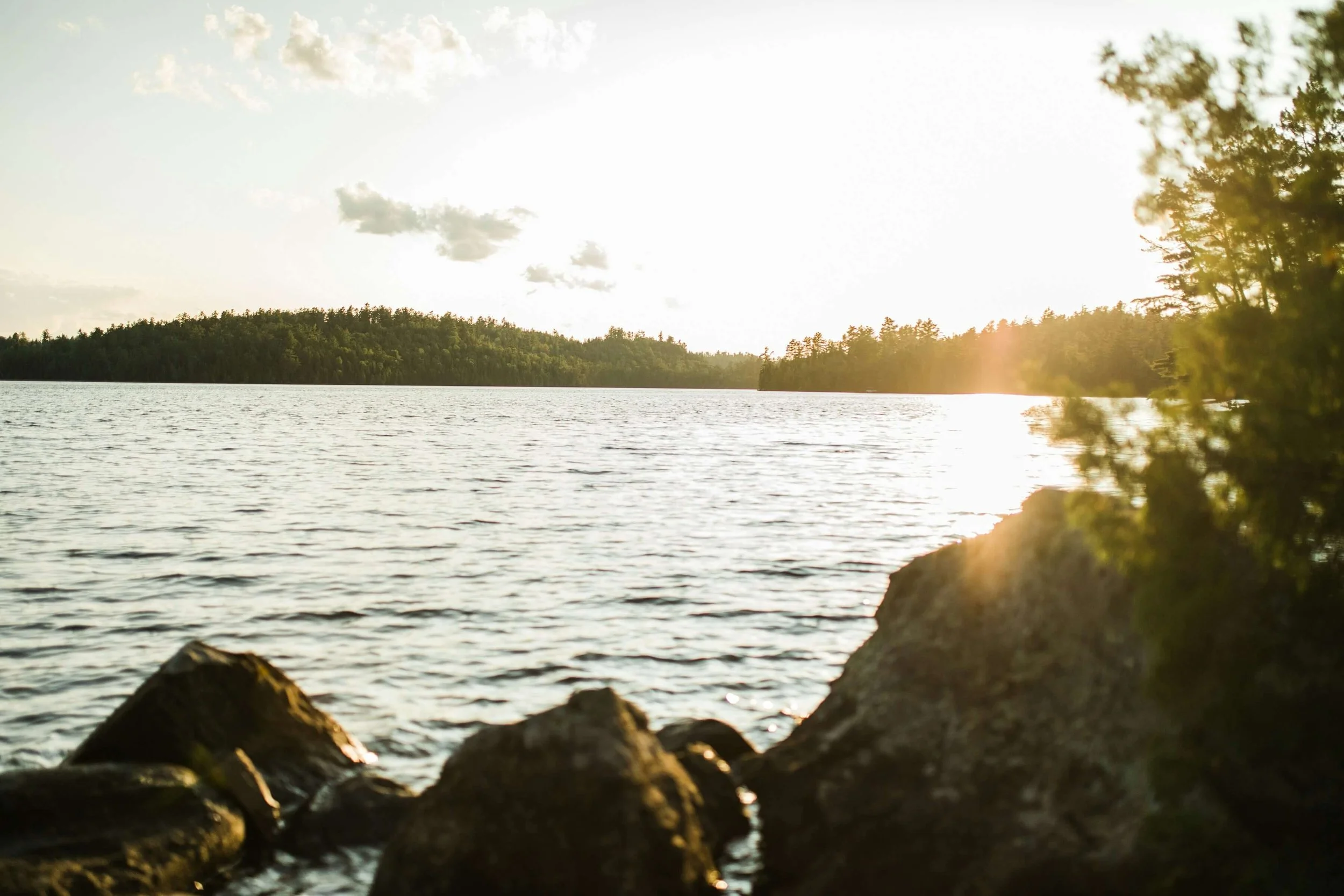 Looking for a Nervous System Reset Retreat Near You? Consider a Trauma Intensive Instead