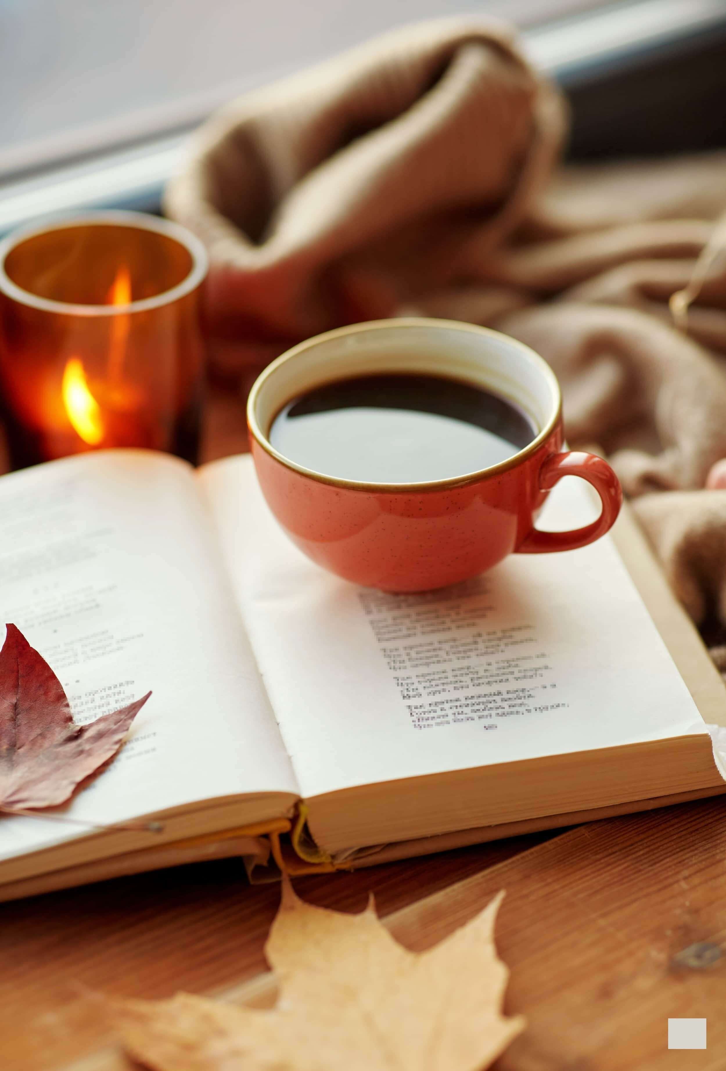 Cozy reading nook with coffee mug and book — trauma therapy intensive preparation Osseo MN