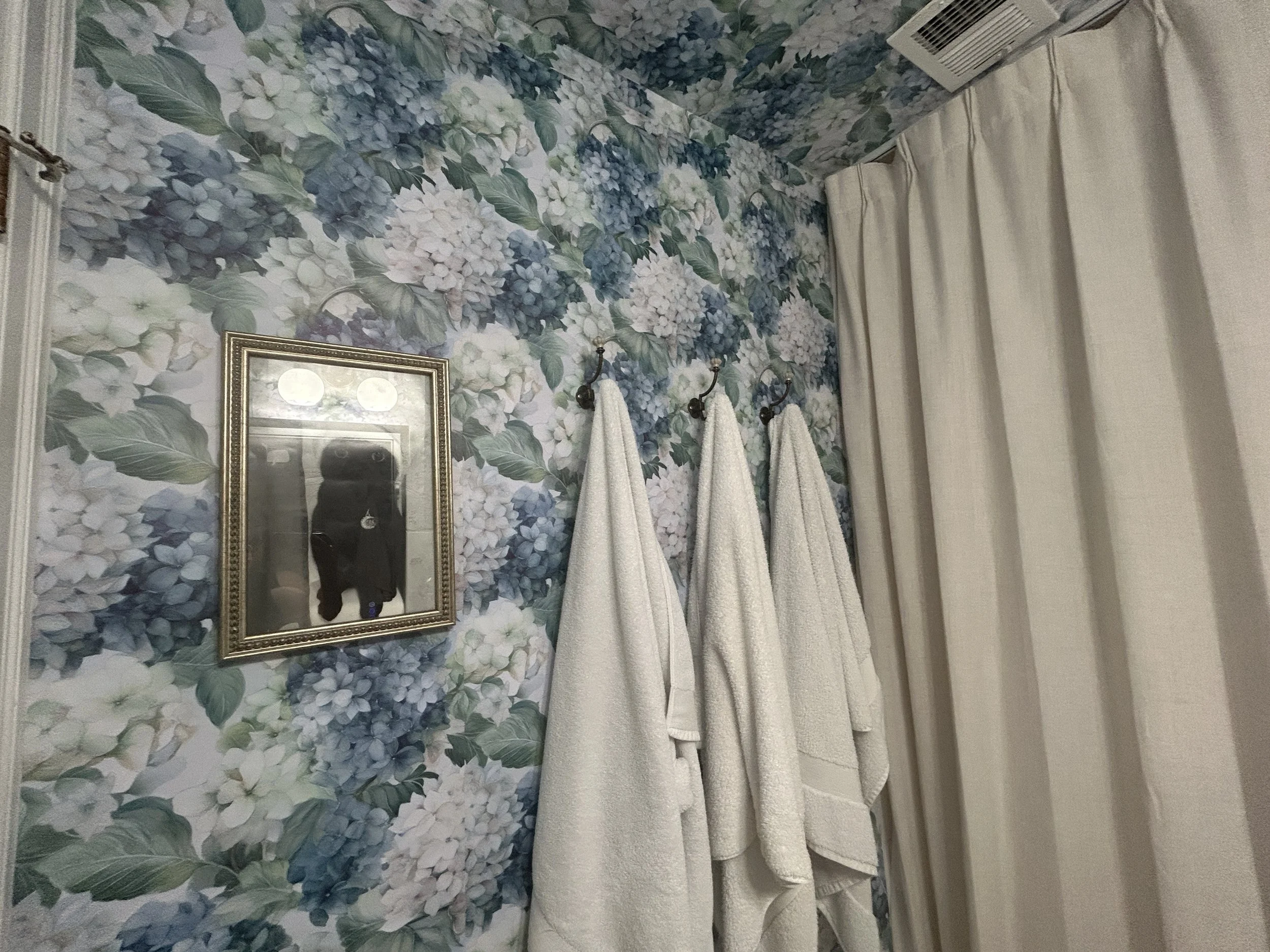 IMG_8149.jpeg