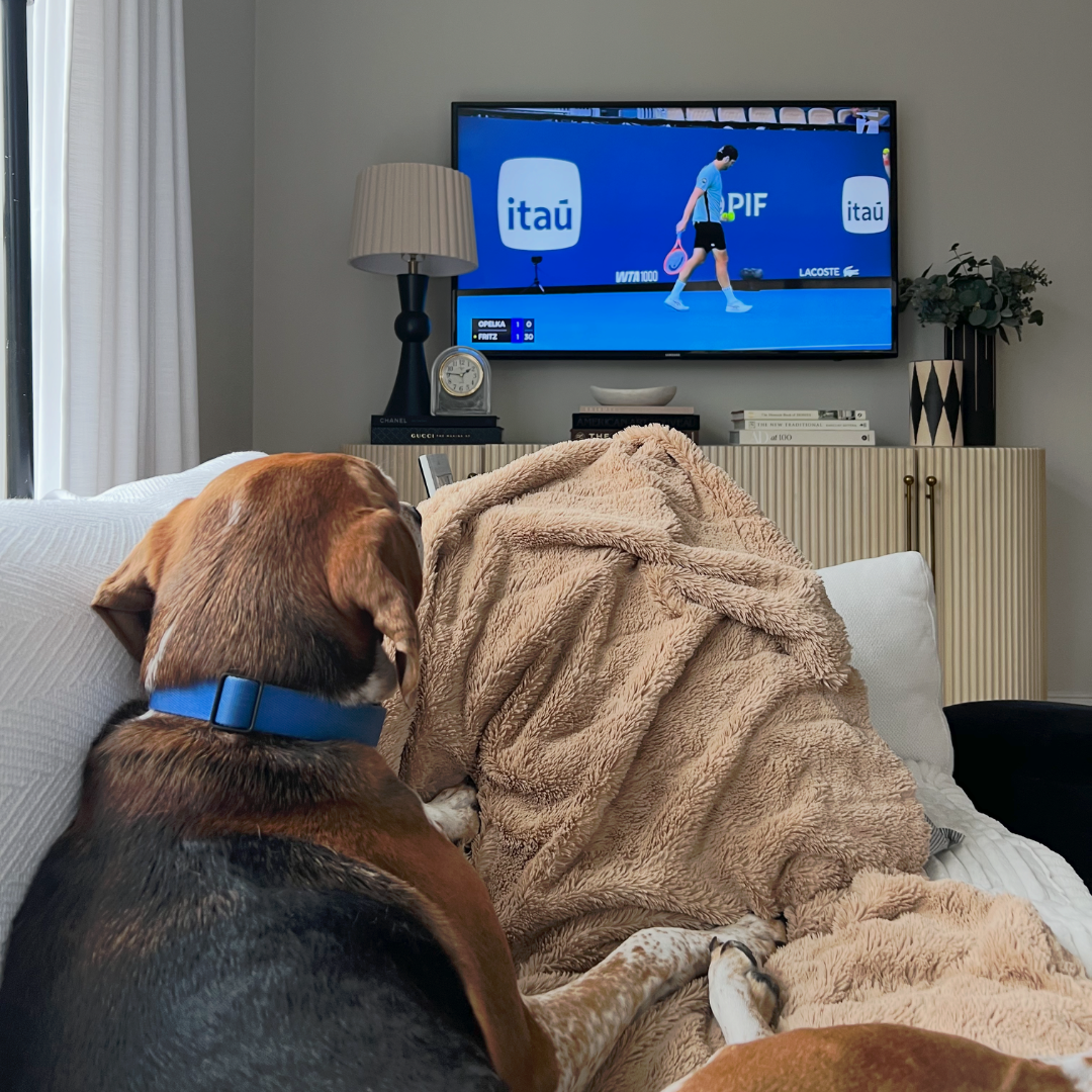 How to Watch Tennis At Home