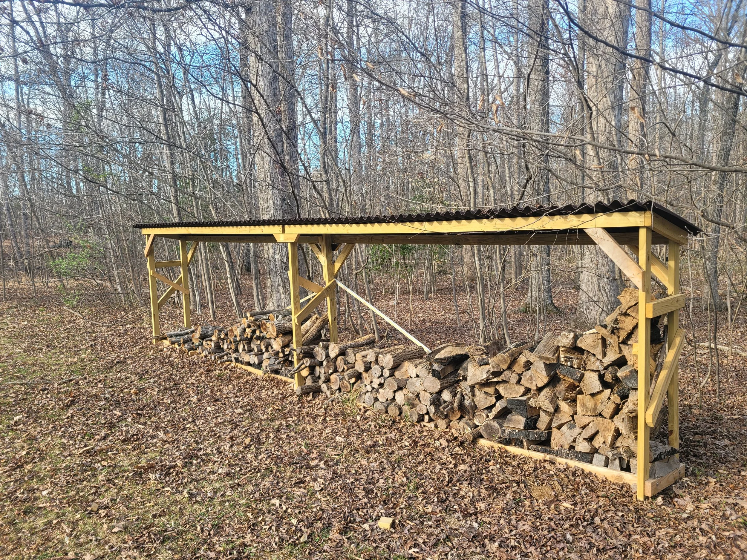 Firewood stacked under a wooden shed in a wooded area during fall.