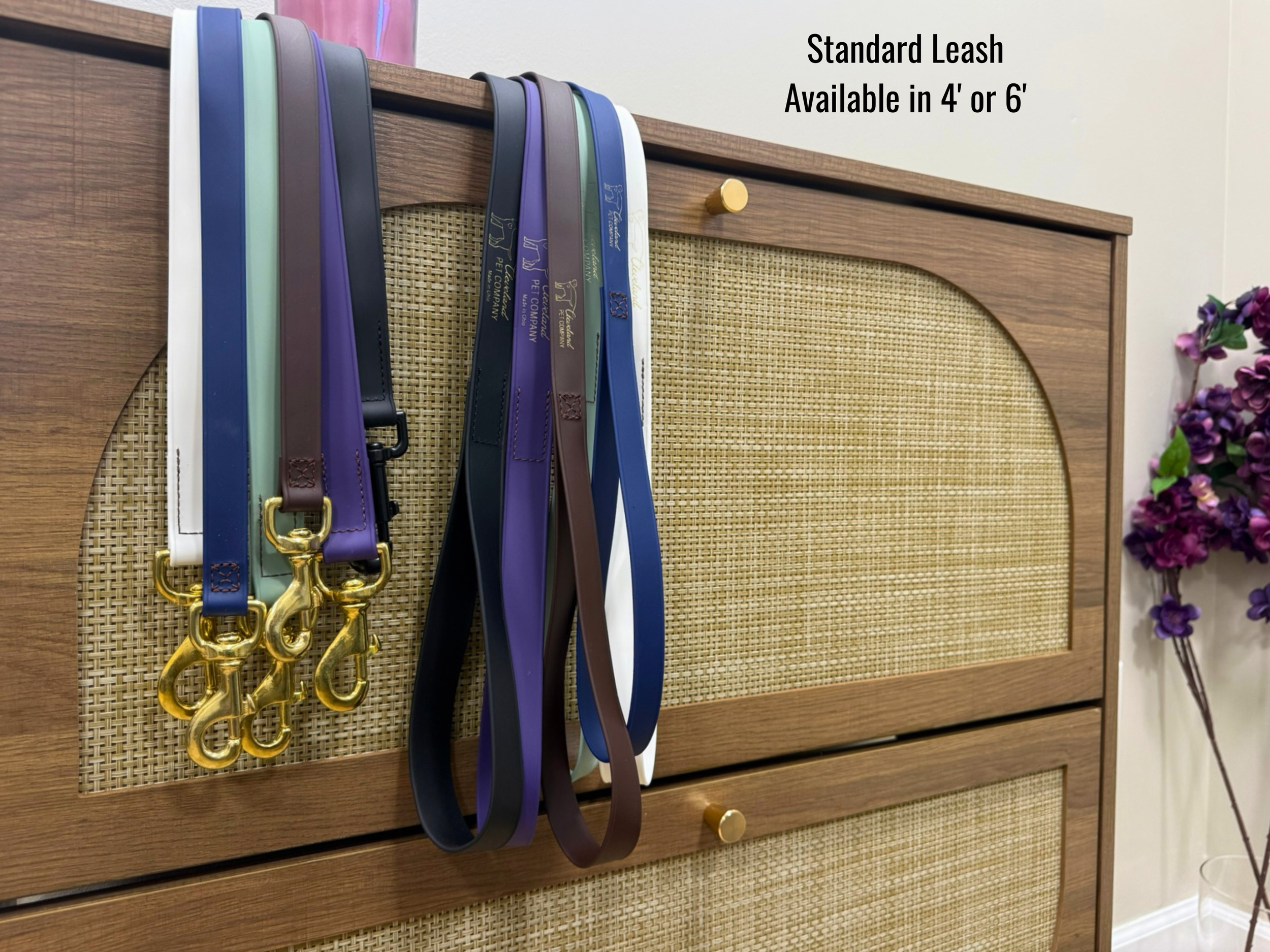 Standard Leash.png
