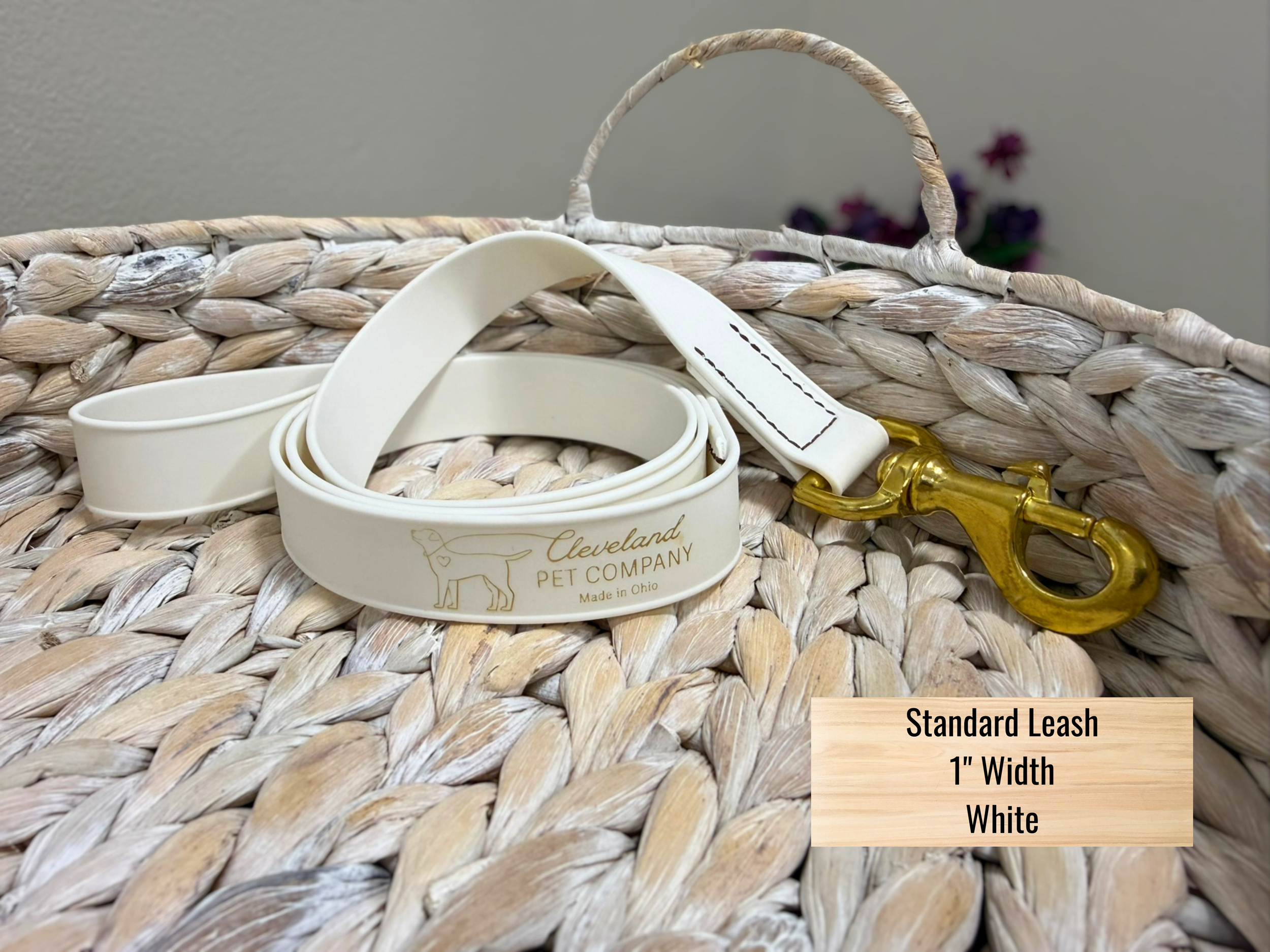 Standard Leash 1 Width White.png