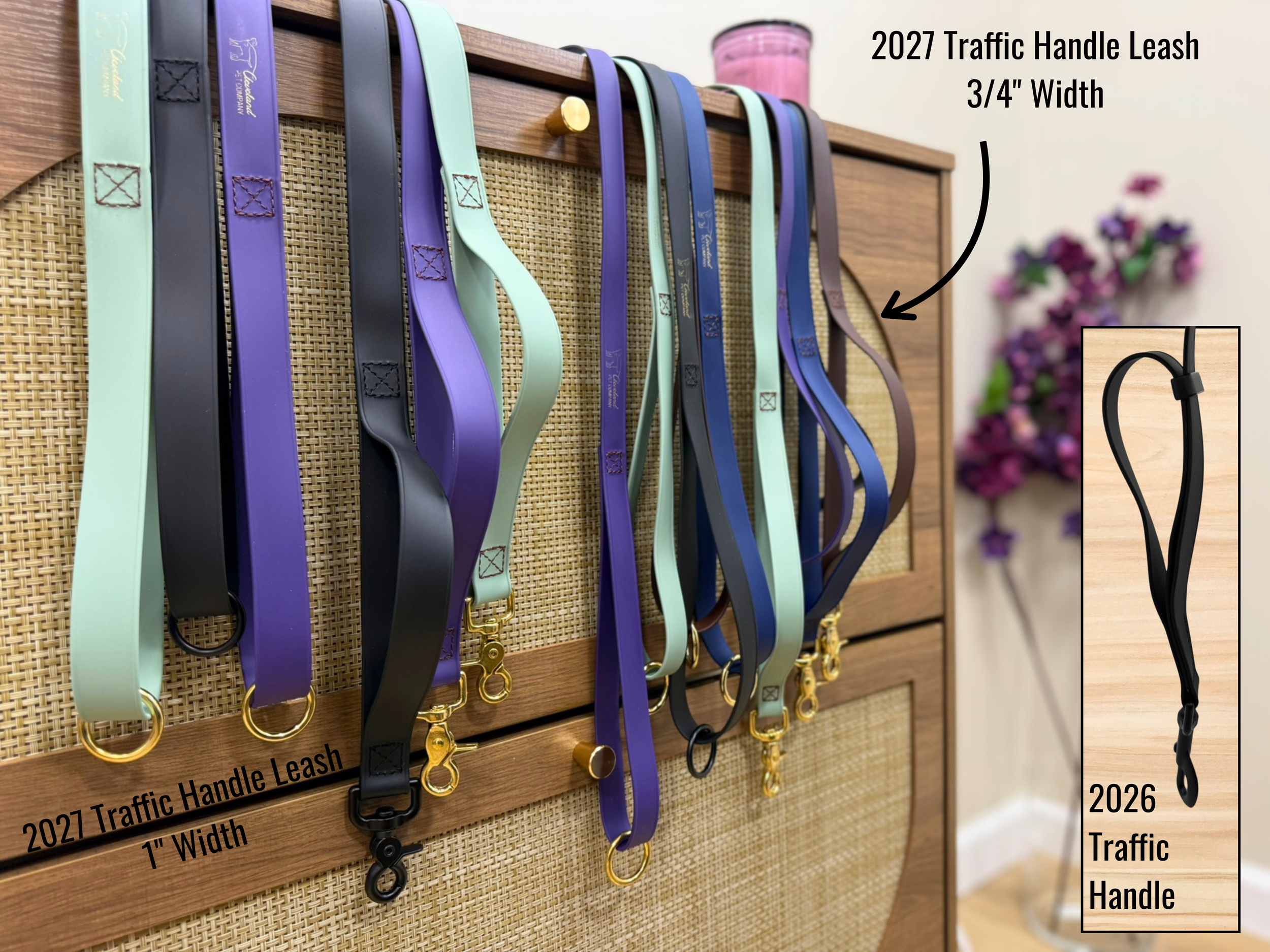 Leash (Standard or Traffic Handle)