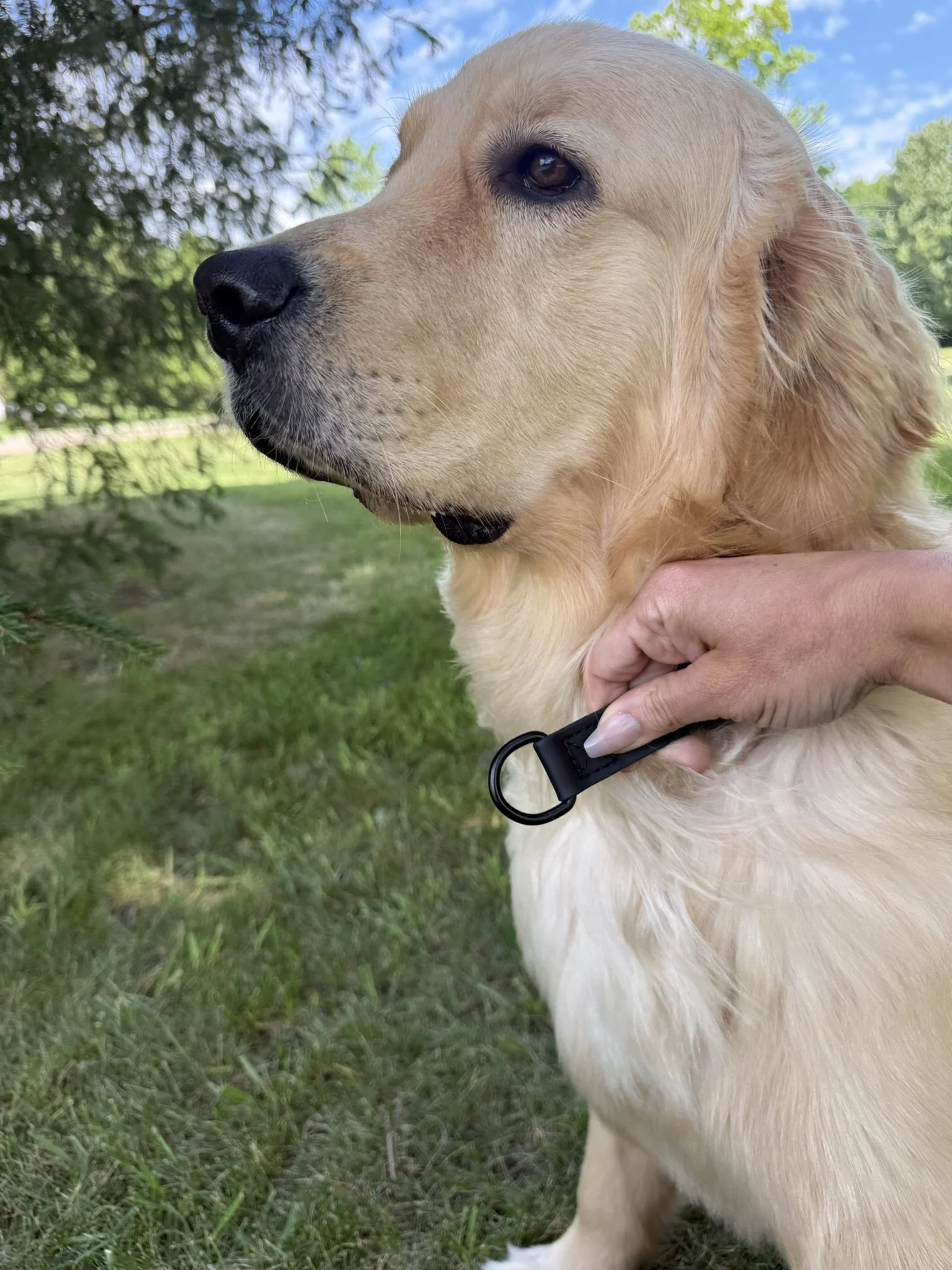 aaIMG_2002.JPEG