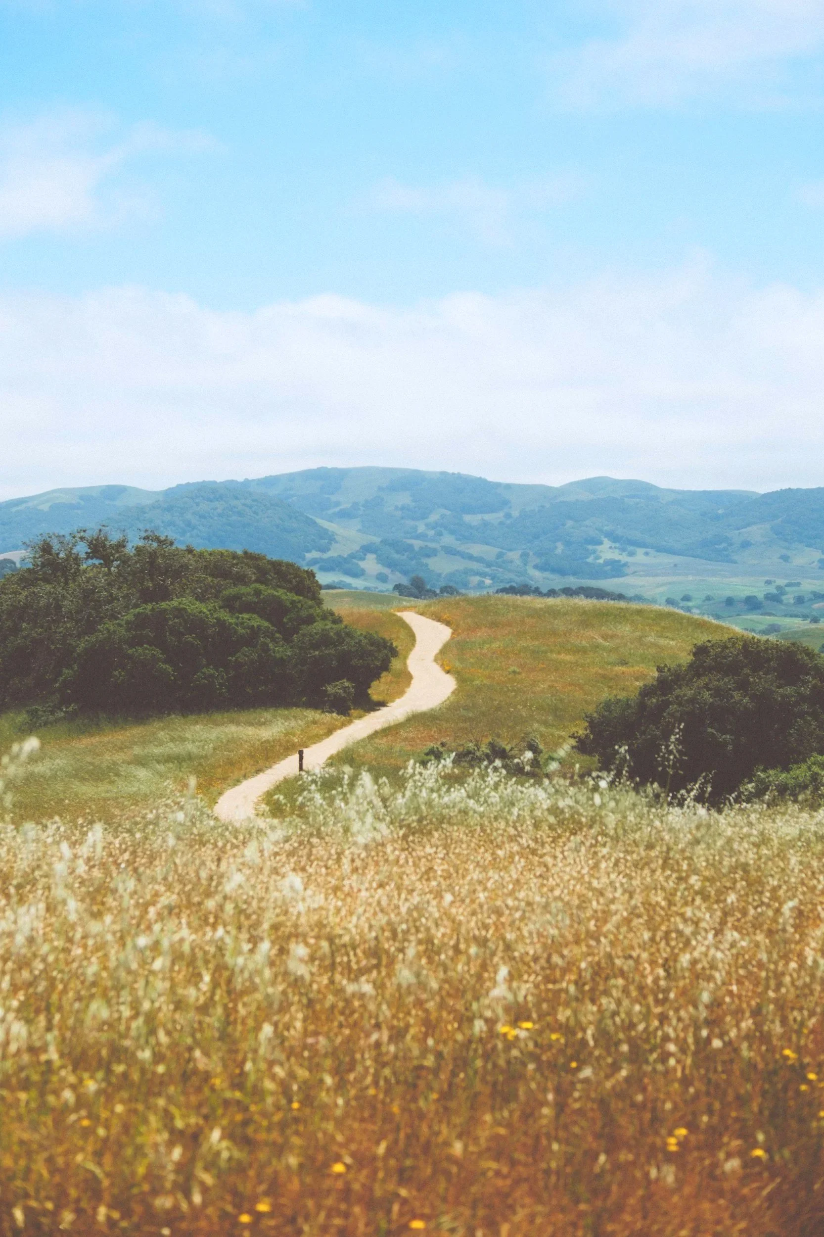A winding dirt trail runs through open grassy fields with bushes and trees, leading toward rolling hills and mountains under a partly cloudy blue sky.