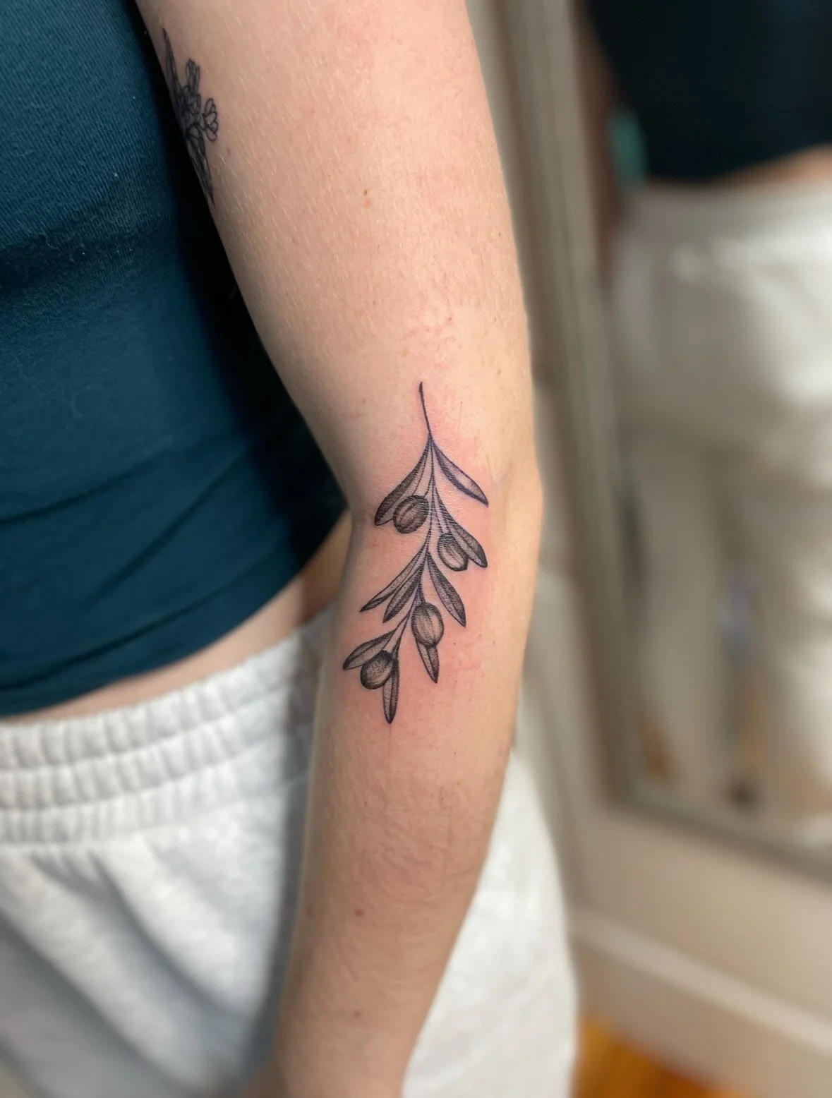 A tattoo of a simple black outline of a sprig of olives with leaves on a person's forearm.
