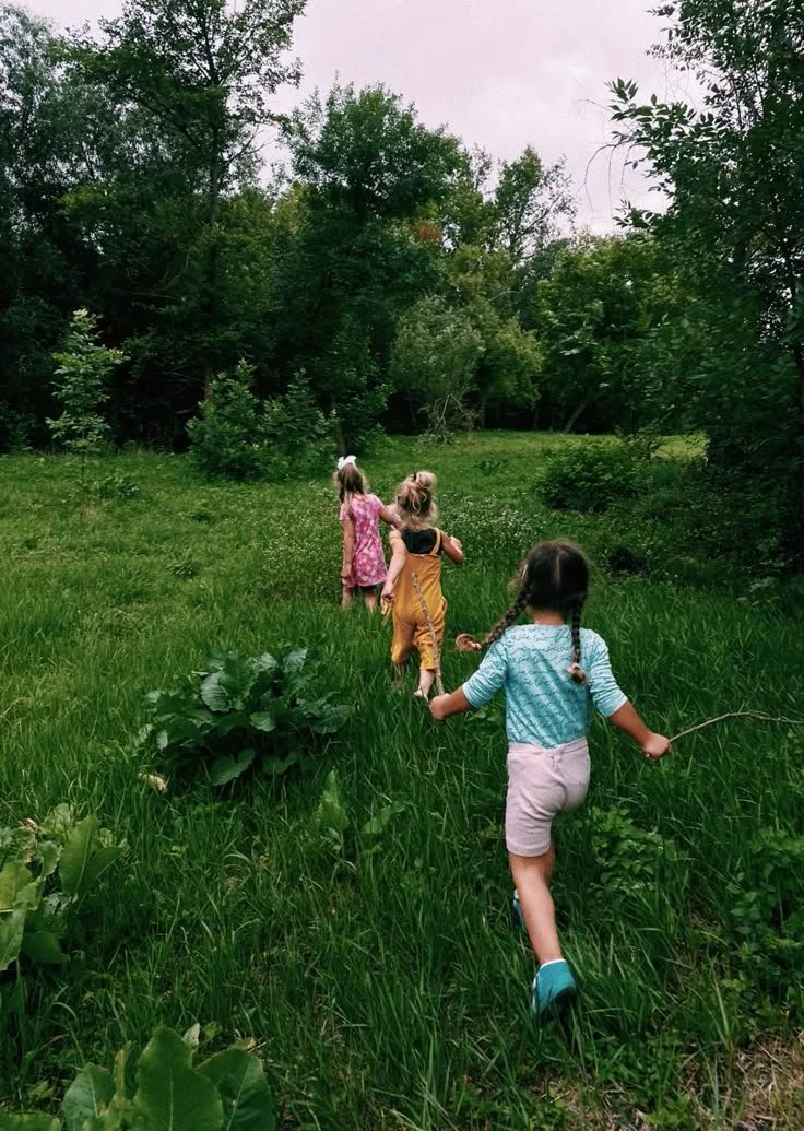 Little Ladybugs Nature Club Fall Forest Sessions