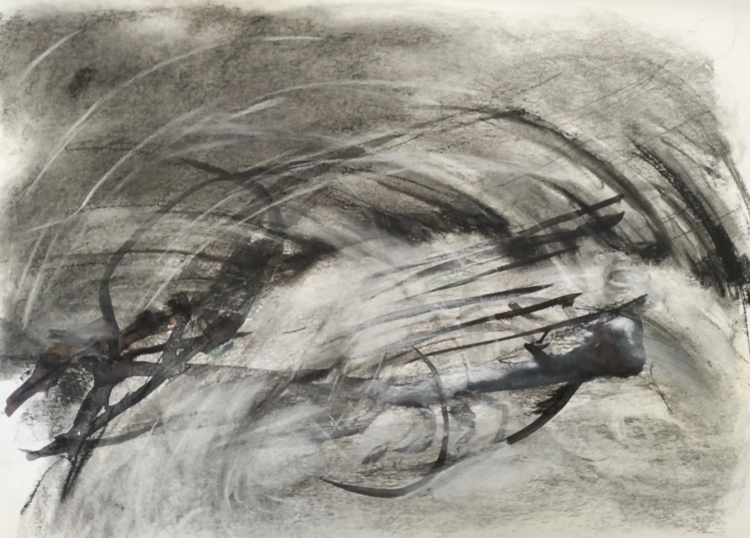 Where the Lake Was (detail), 2025-ongoing, charcoal, oil pastel, ink, toned paper