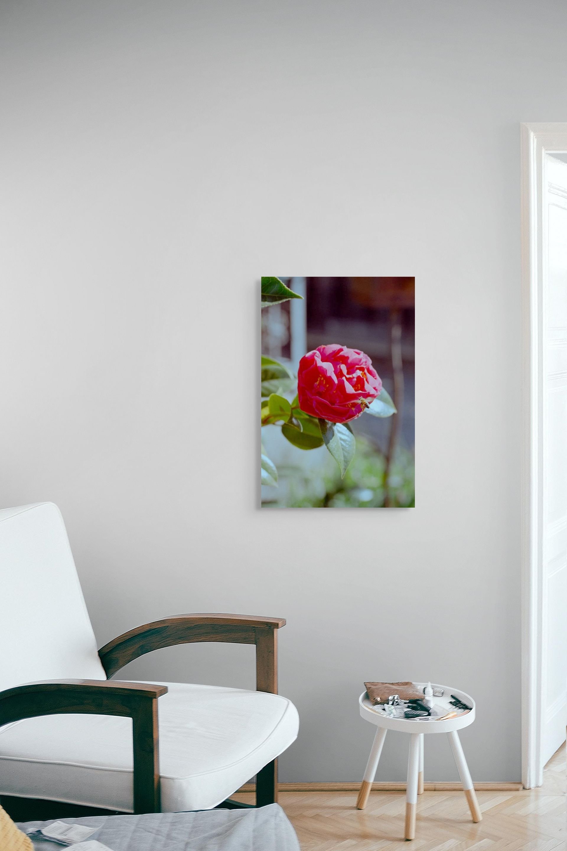 _dsc0188-pano-medium (2).jpg