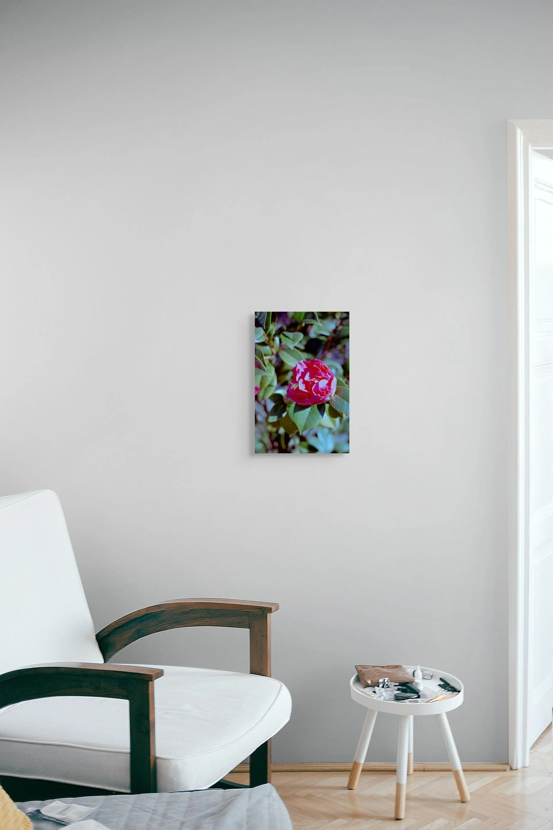 _dsc0185-pano-medium (1).jpg