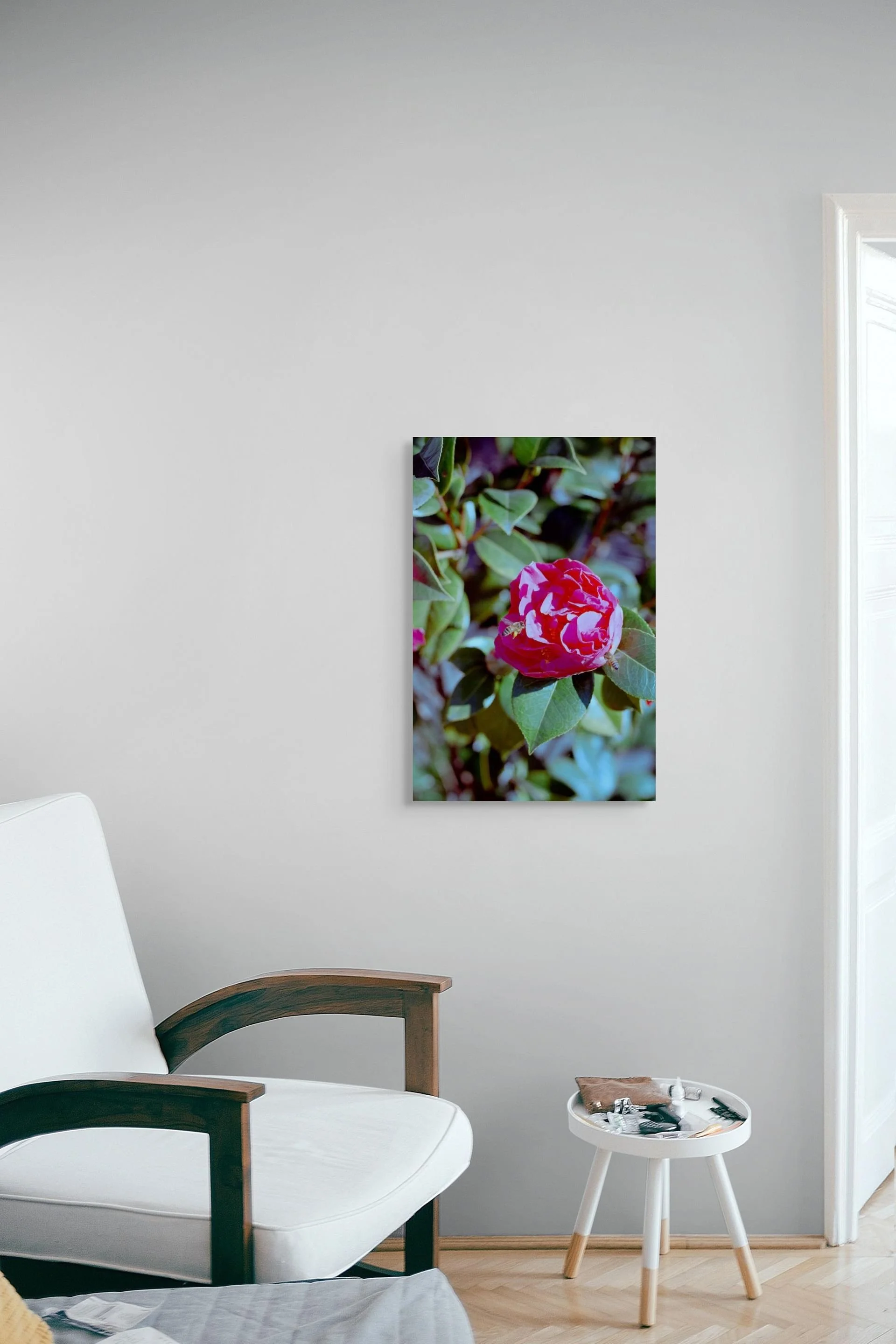 _dsc0185-pano-medium (2).jpg