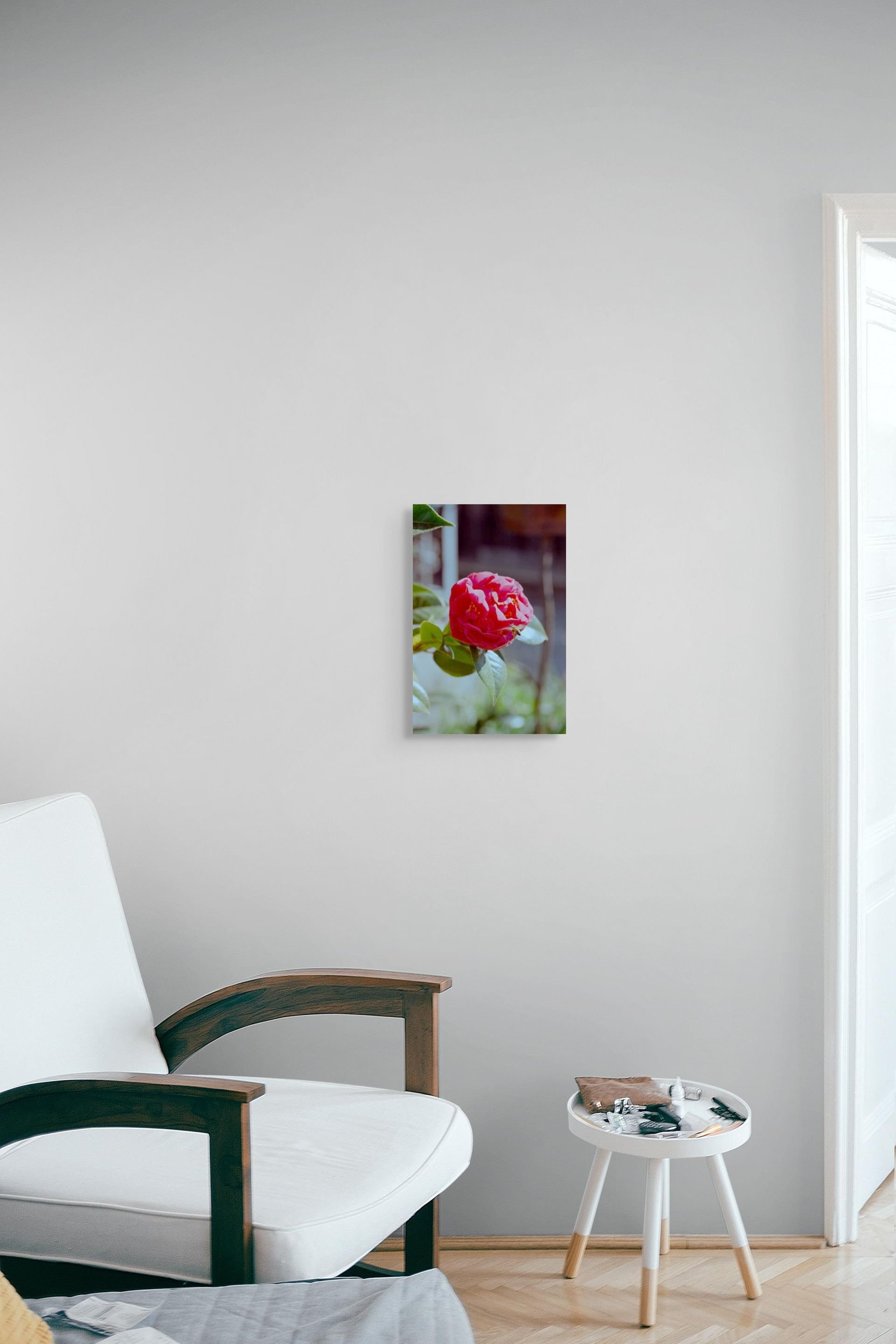 _dsc0188-pano-medium (1).jpg