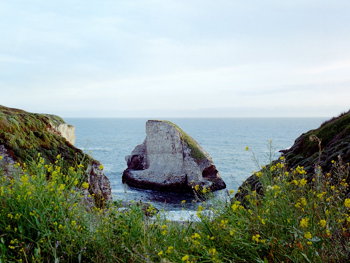 A large rock formation surrounded by the ocean, framed by green and yellow flowering plants and cliffs.