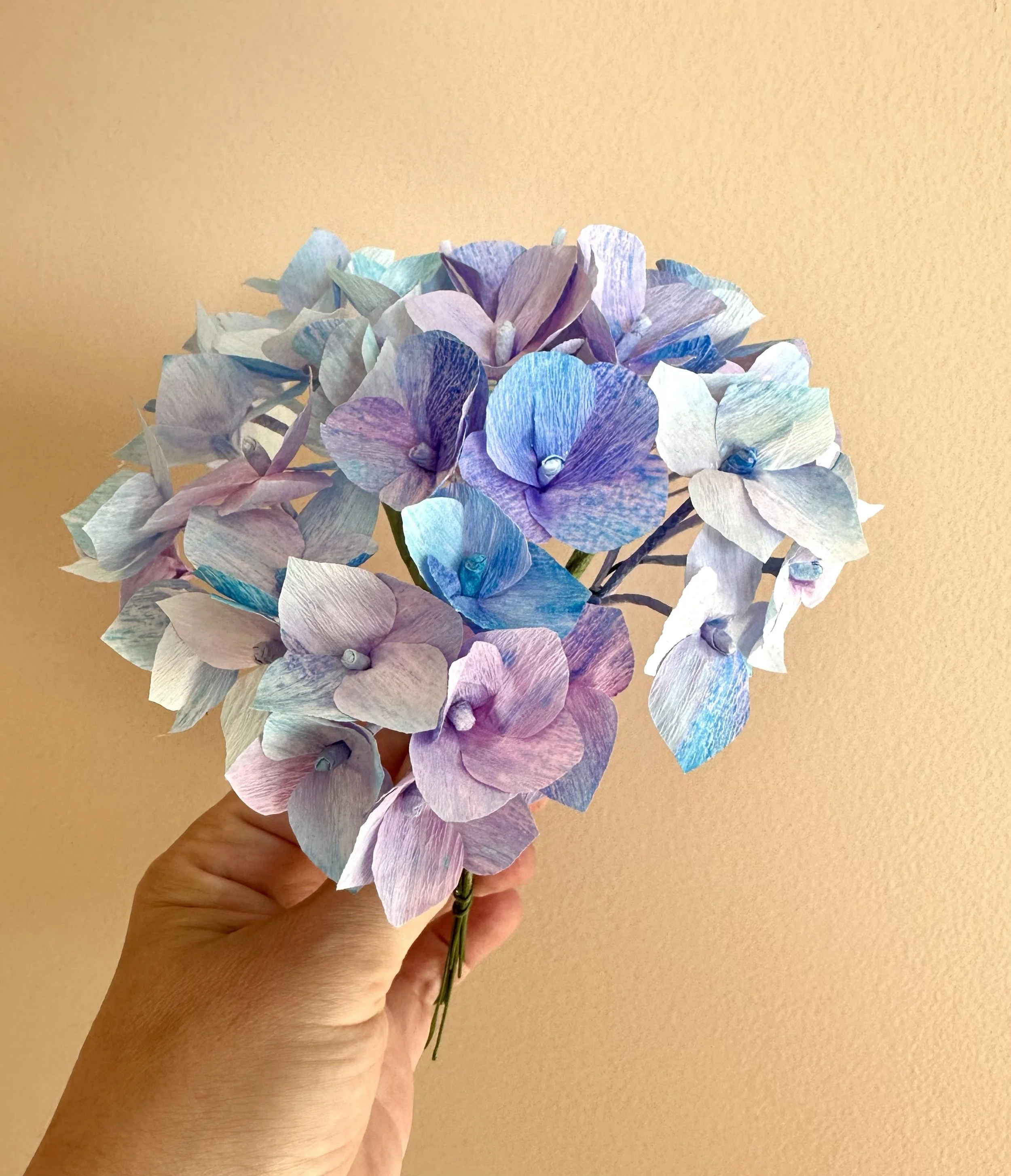 Hydrangea01.jpg