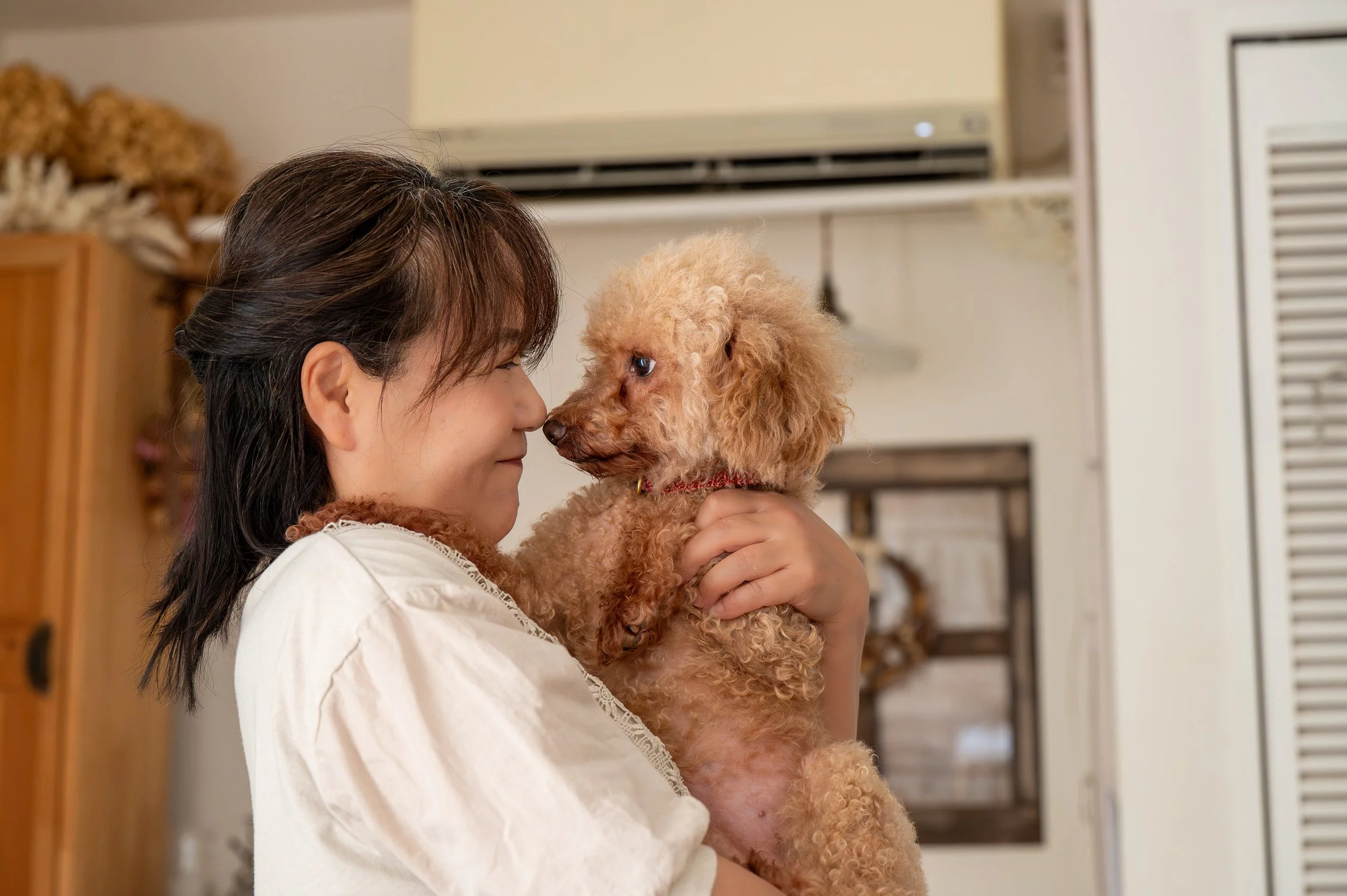 ホーム人物犬と見つめあう女性