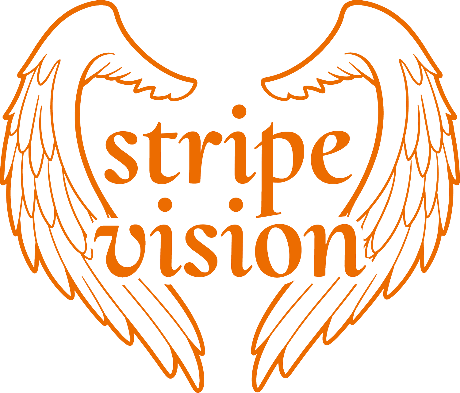 stripe vision