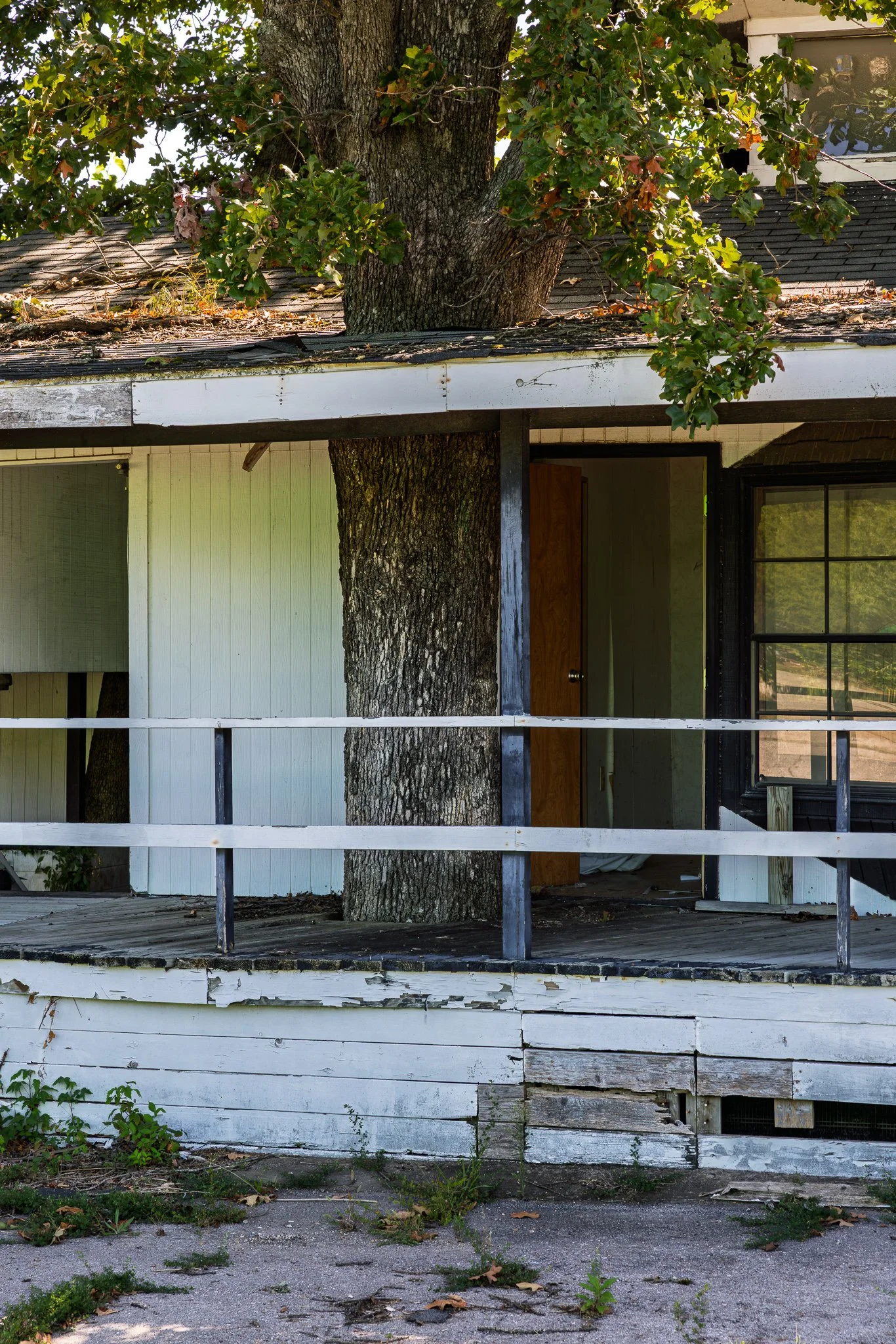 Side view of Alpine Haus Motel with signature tree, St. Robert, MO.