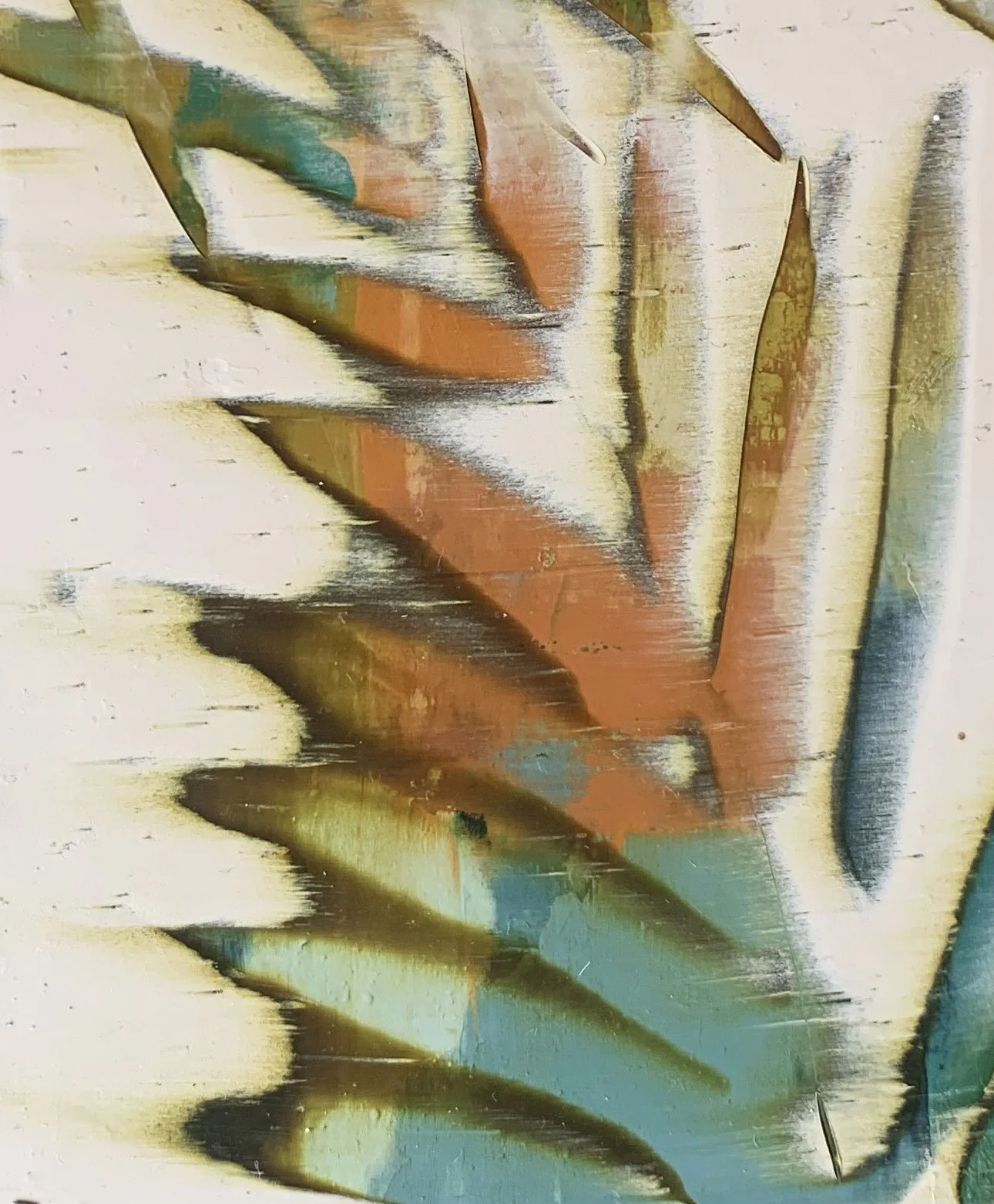 close up 5.jpg
