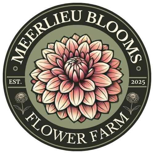 Meerlieu Blooms