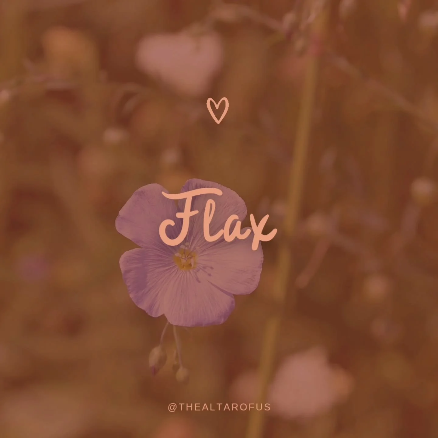 🌿 A Few of My Favorite Plants: Day 2🌿

Each day of #Hoodoo Heritage Month, I&rsquo;ll be sharing one of my favorite ways to work with a plant.

🌑 Want to begin or deepen your relationship with plant medicine? 
Book a Root Session, where I weave He