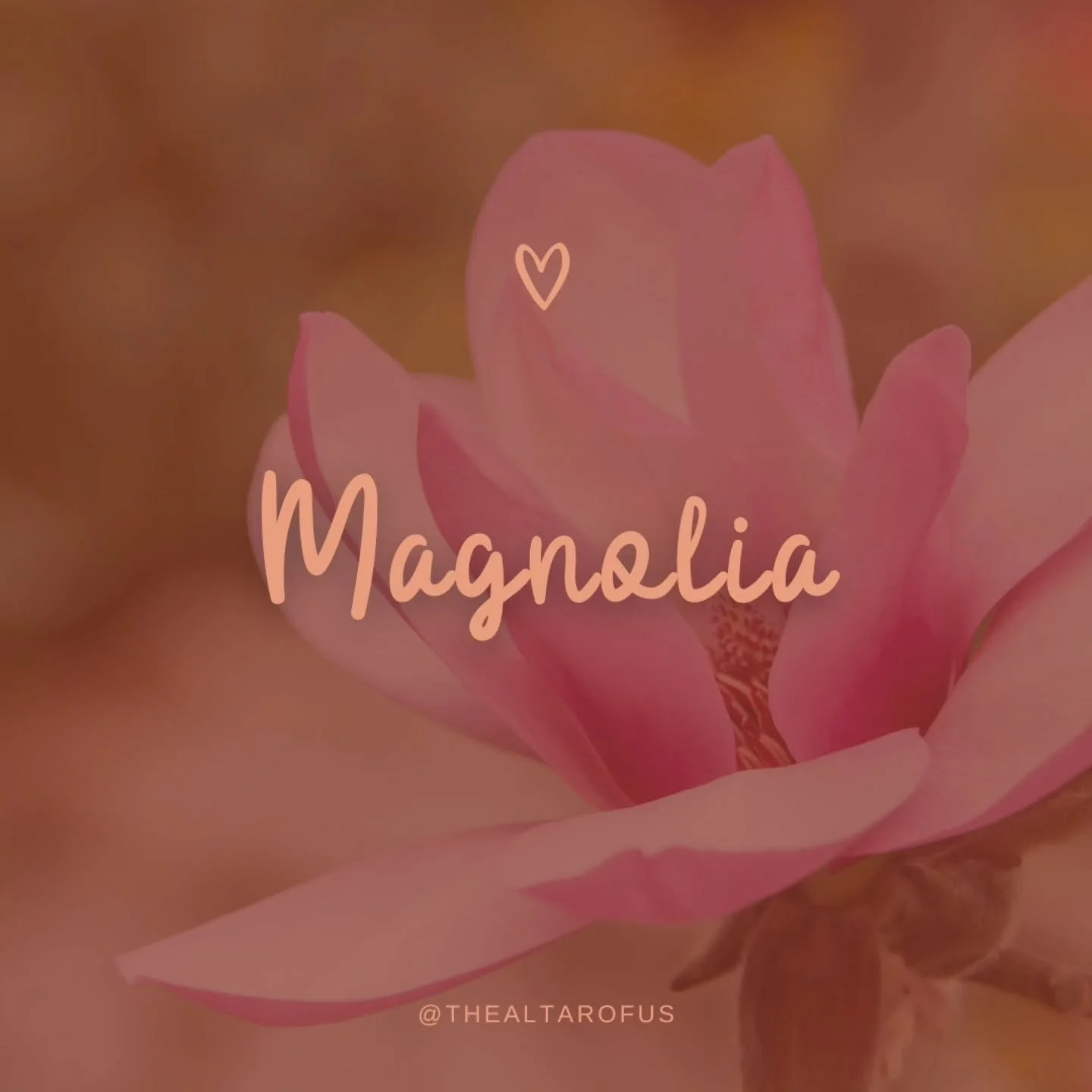 A lot of people seem to think I chose Samantha Magnolia as my name. But it's actually my given name, I just finally chose to embrace it, and the gifts it came with. 

It's also my Great Grandmothers name. I didn't know her well while she was Earthsid