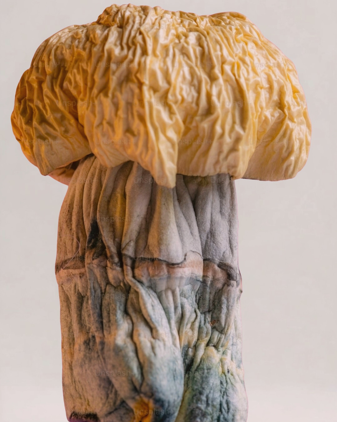 Quote Instagram Posts (6).png