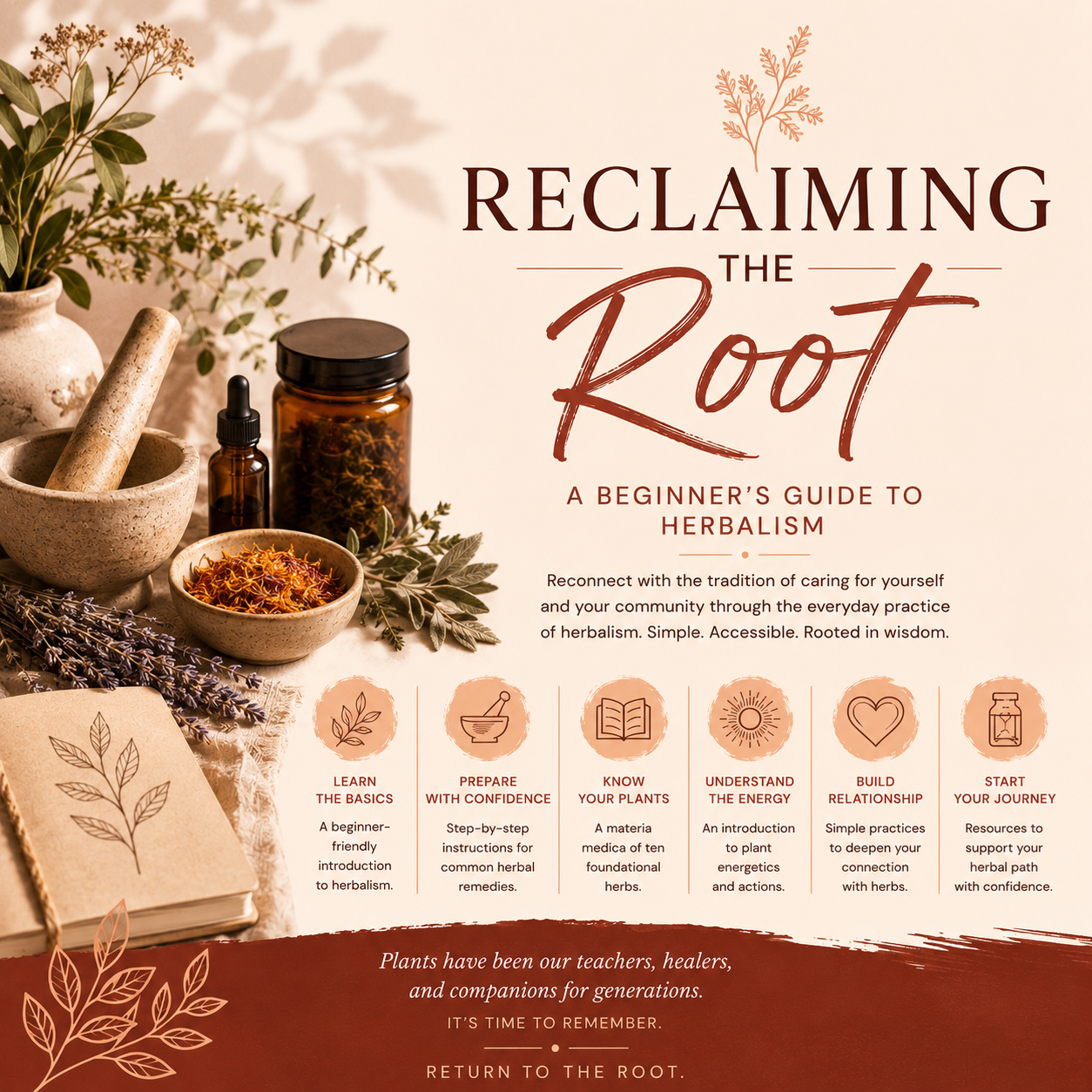 Reclaiming the Root eBook