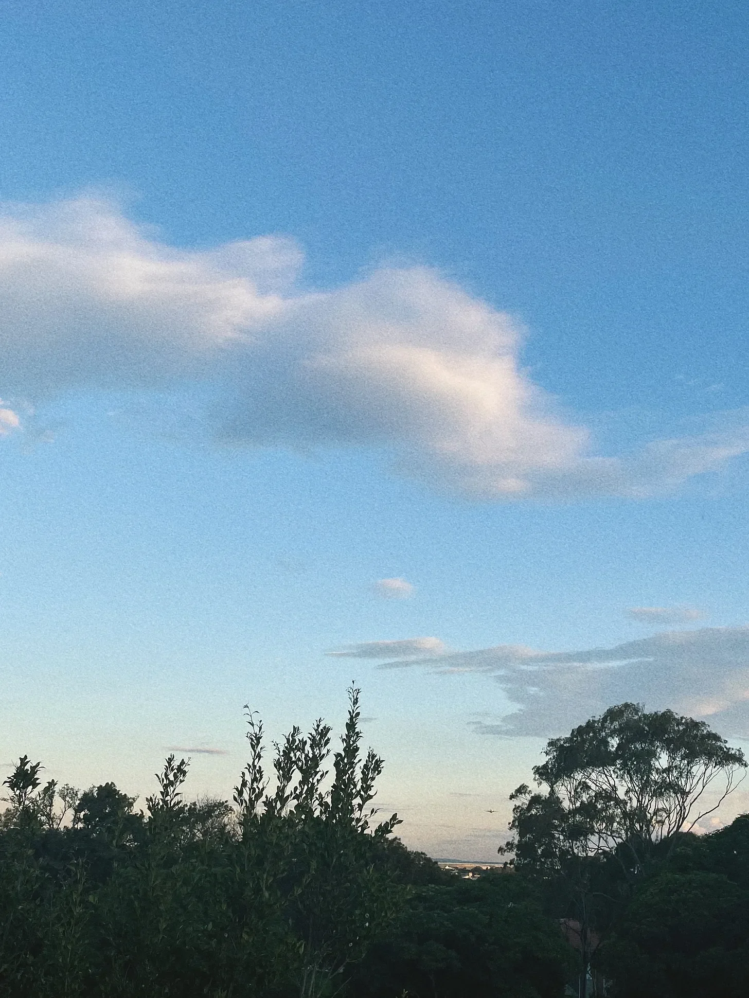 hope (and the detox)