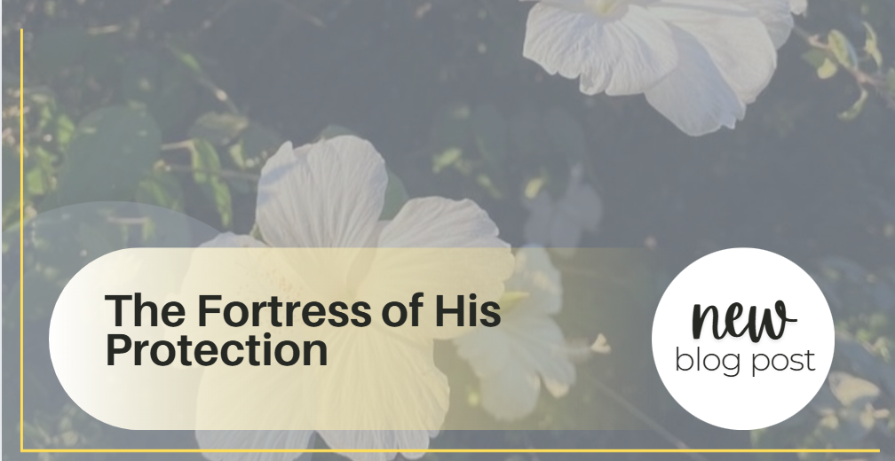 The Fortress of His Protection: How God's Shelter Empowers Bold Living