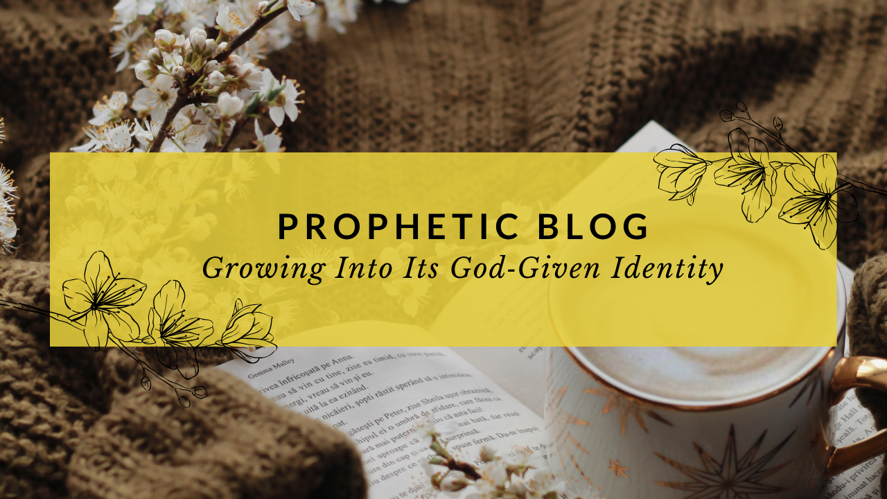 Growing at God’s Pace in His Garden