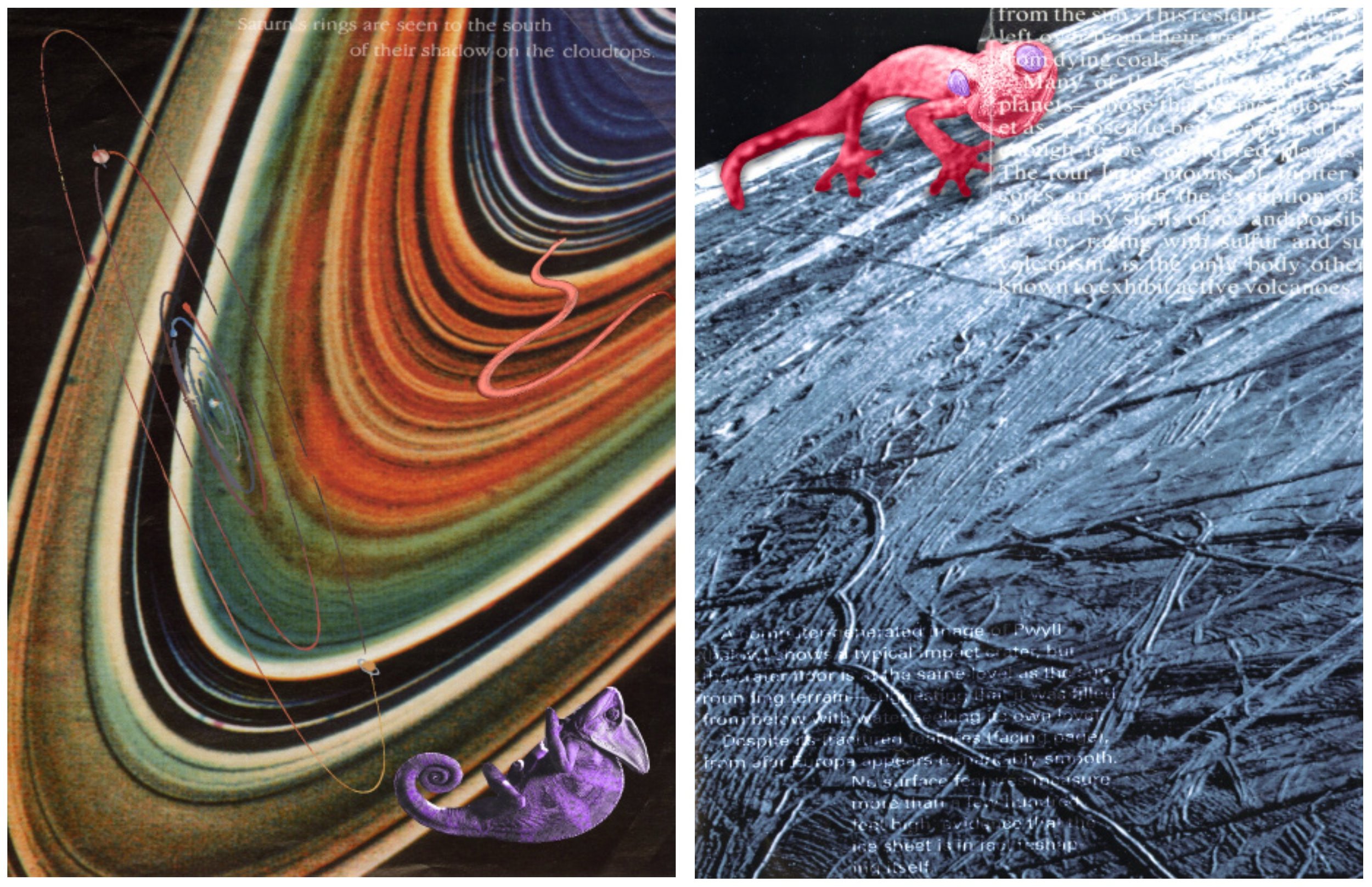 Screenshot 2026-01-07 at 1.33.31 PM.jpg