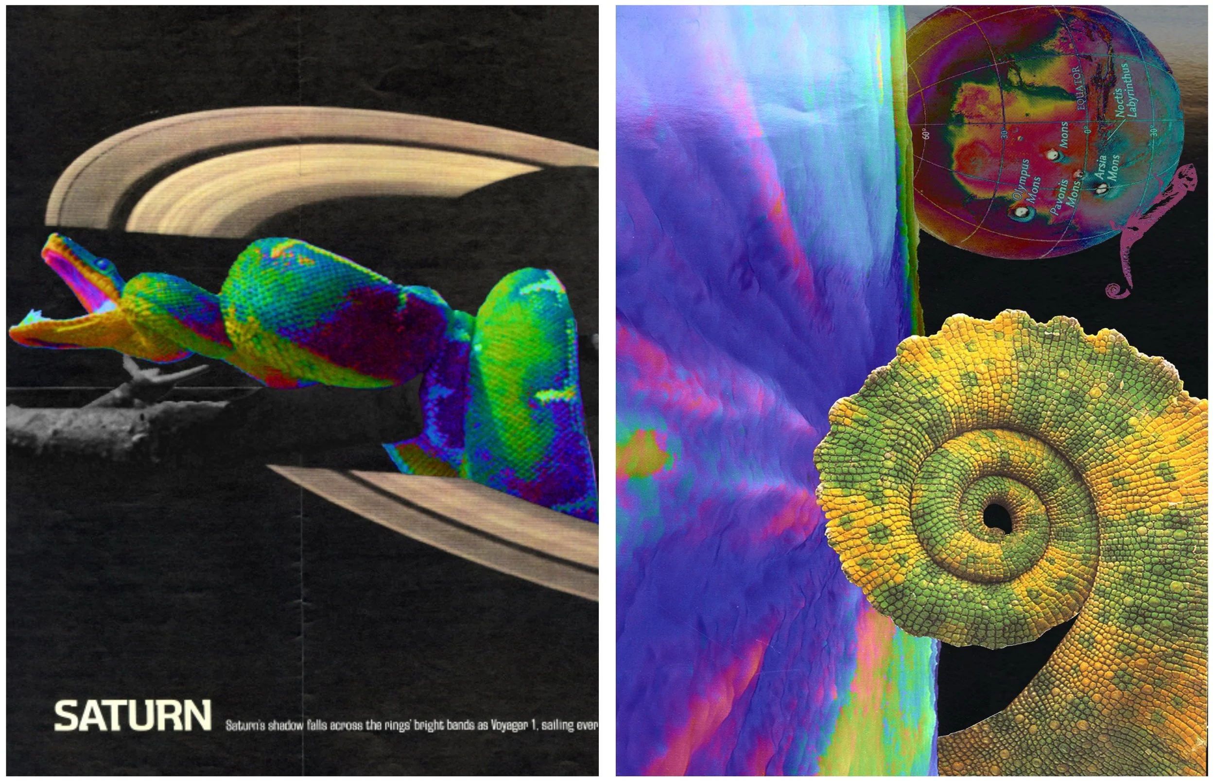 Screenshot 2026-01-07 at 1.36.29 PM.jpg