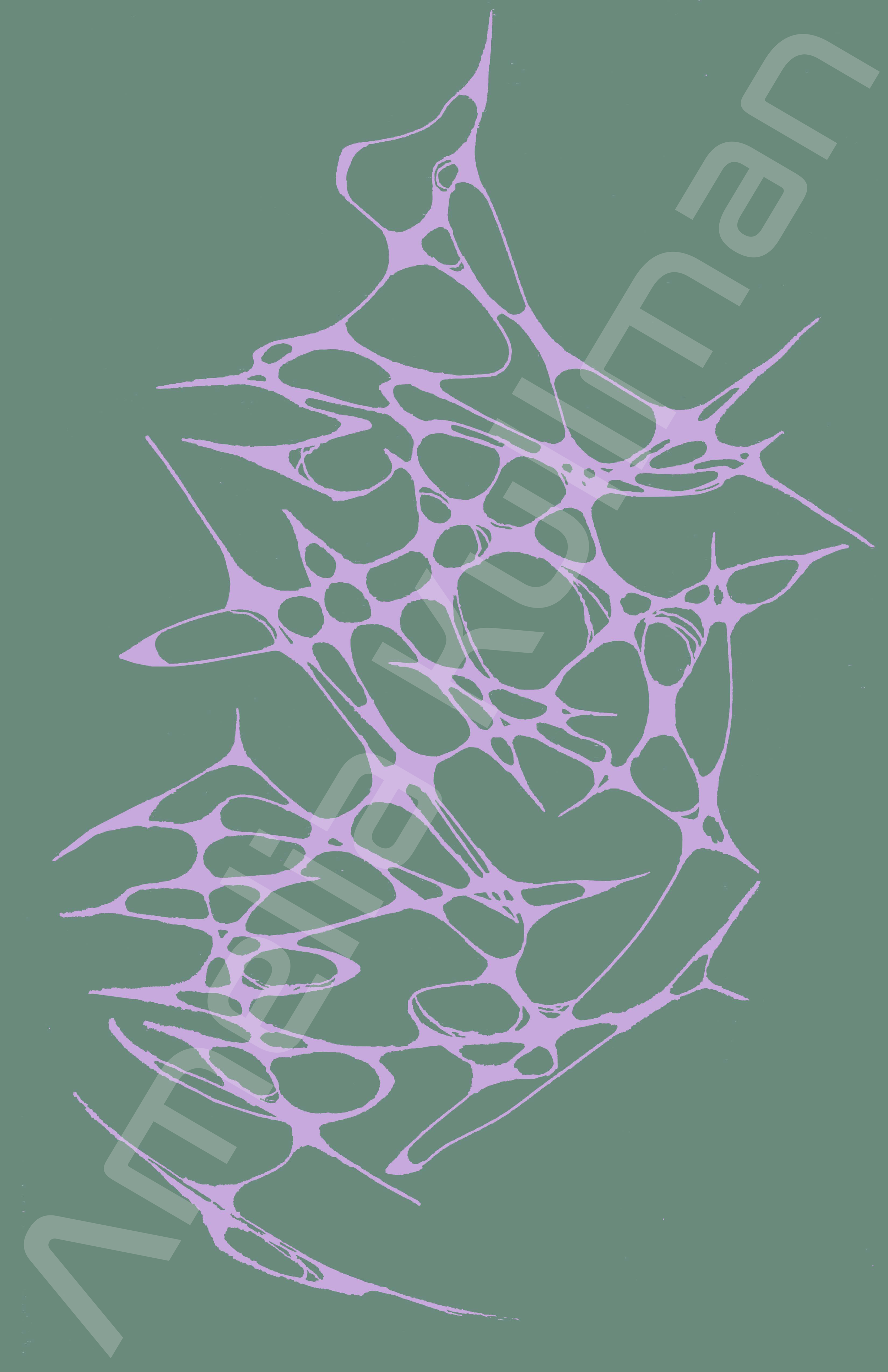 Andesite