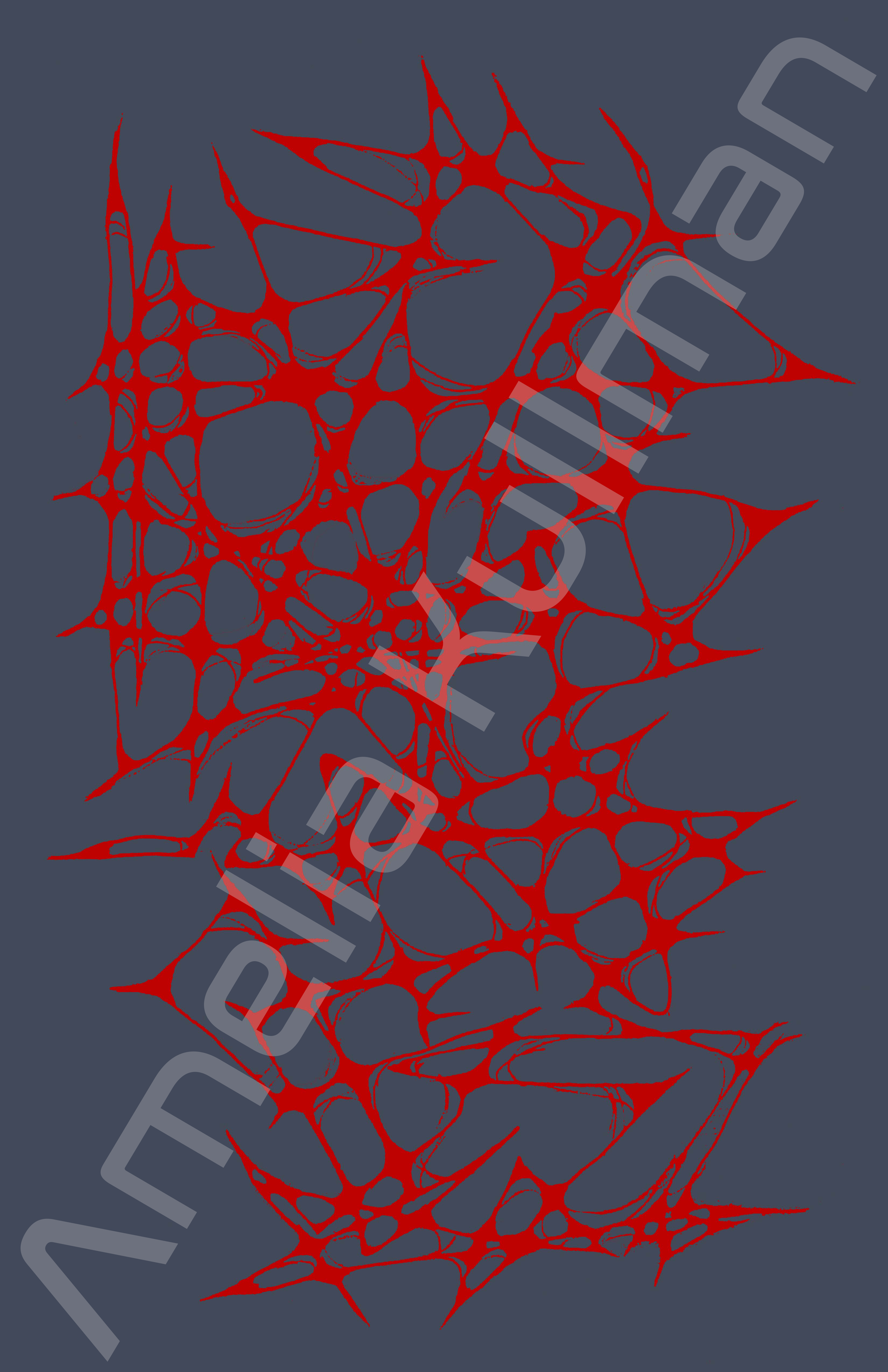 Web