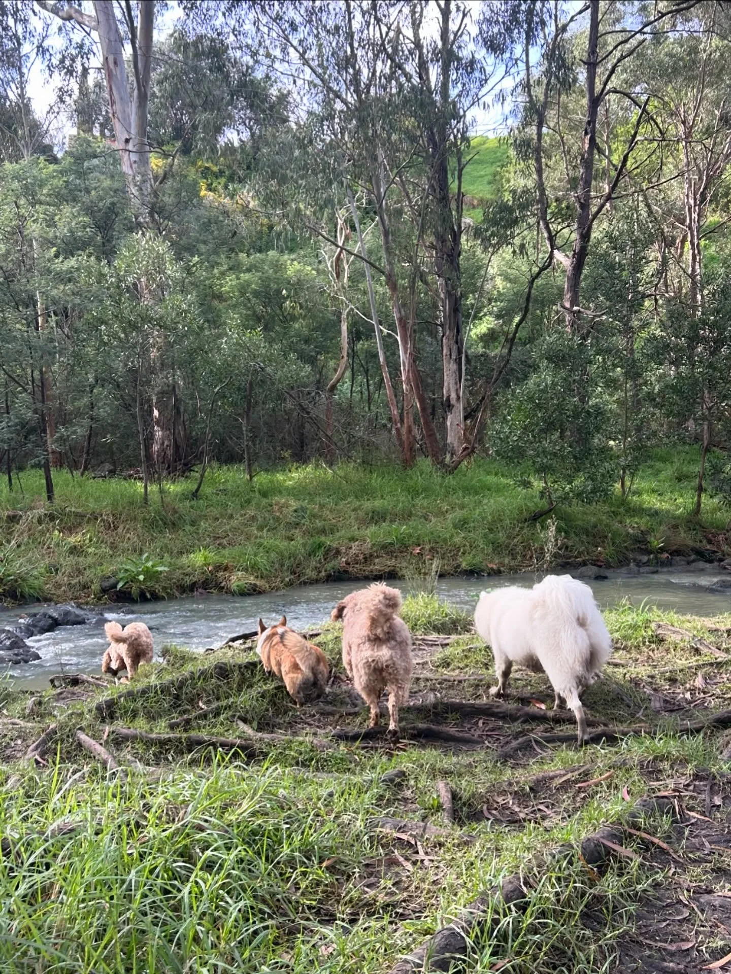 Swipe to see our ADVENTURE!