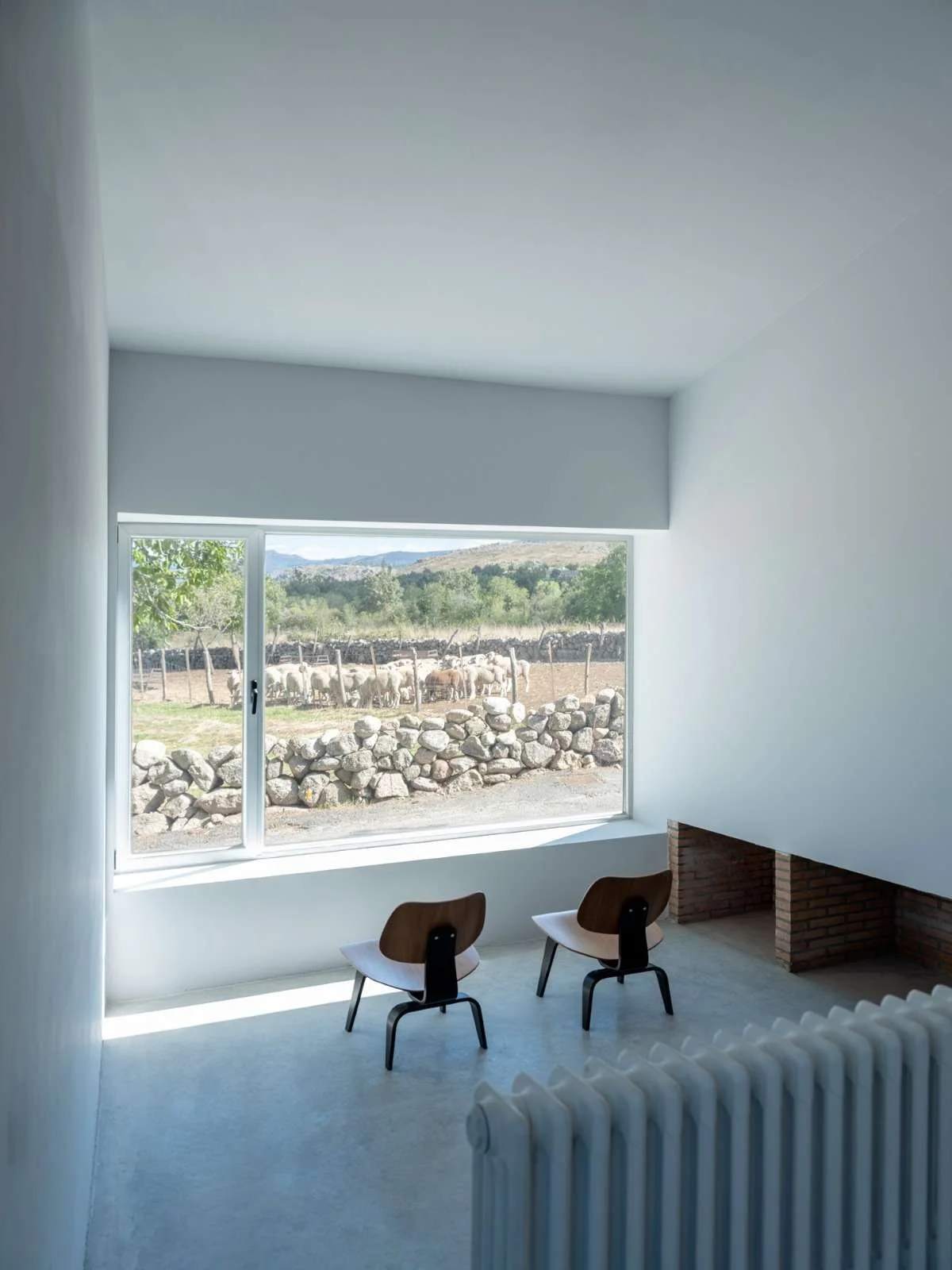 Empty white room with a large window showing a green outdoor scene with rocks and sheep, two wooden chairs facing the window, and a radiator near the bottom right corner.