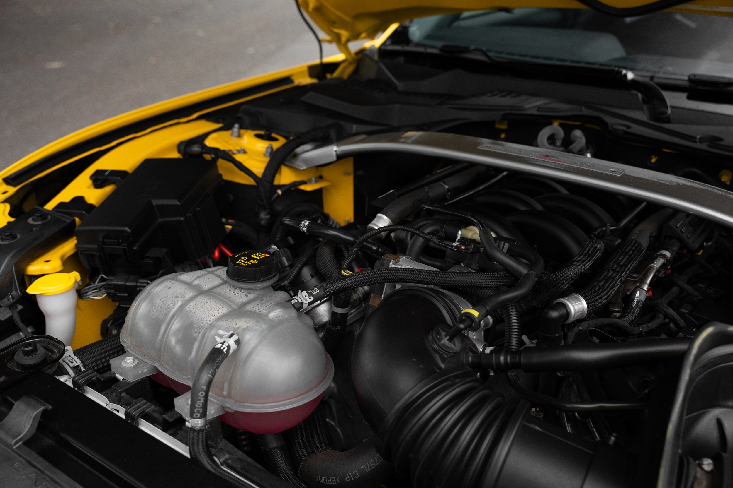 GT350R - Kirk Lawry-34.jpg