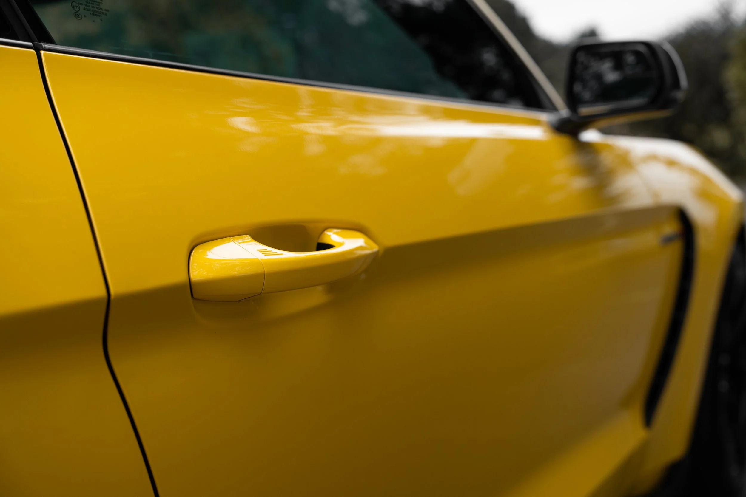 GT350R - Kirk Lawry-14.jpg