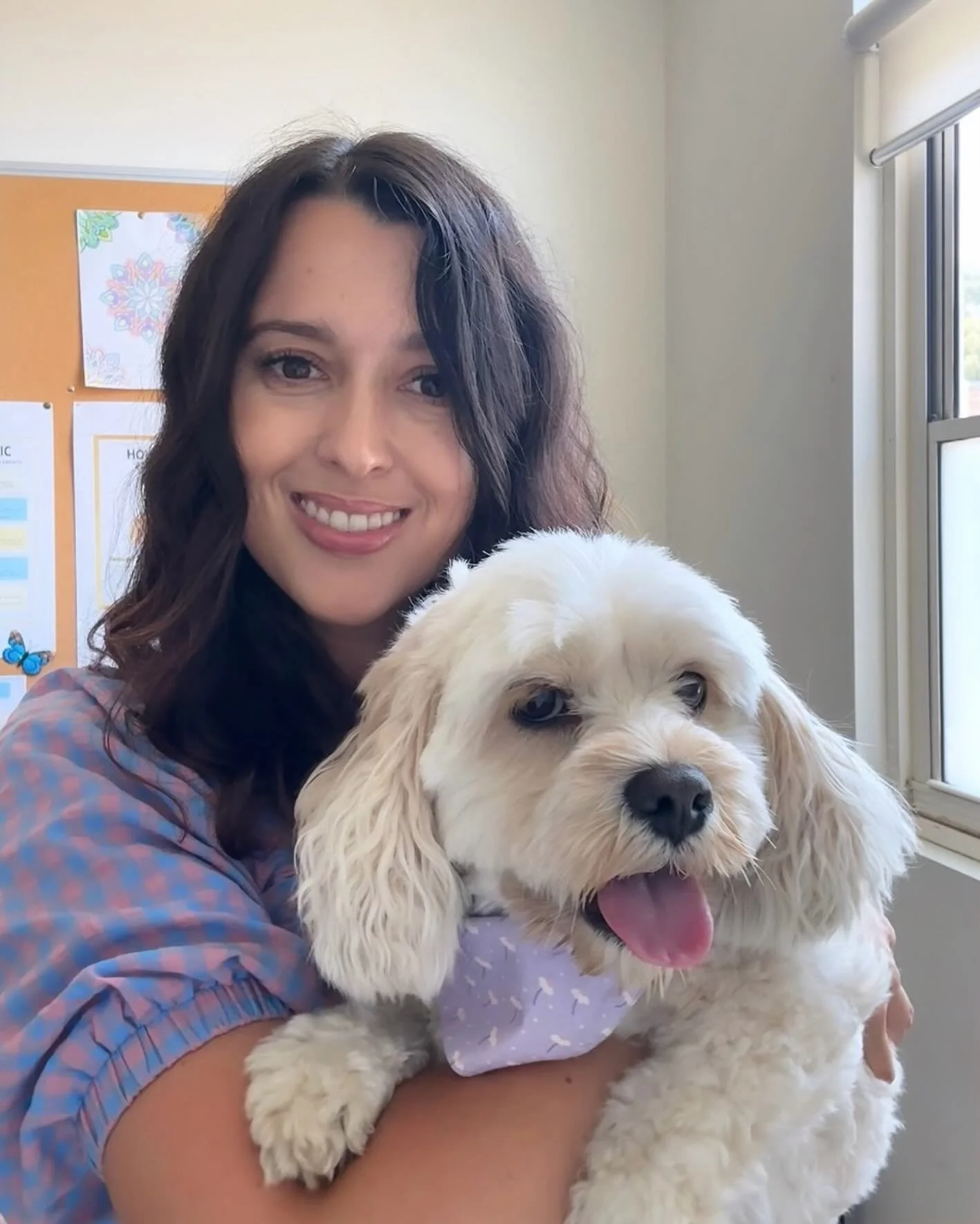 School days 🍎✏️

#therapydog #schoolcounsellor #mentalhealth #ruok