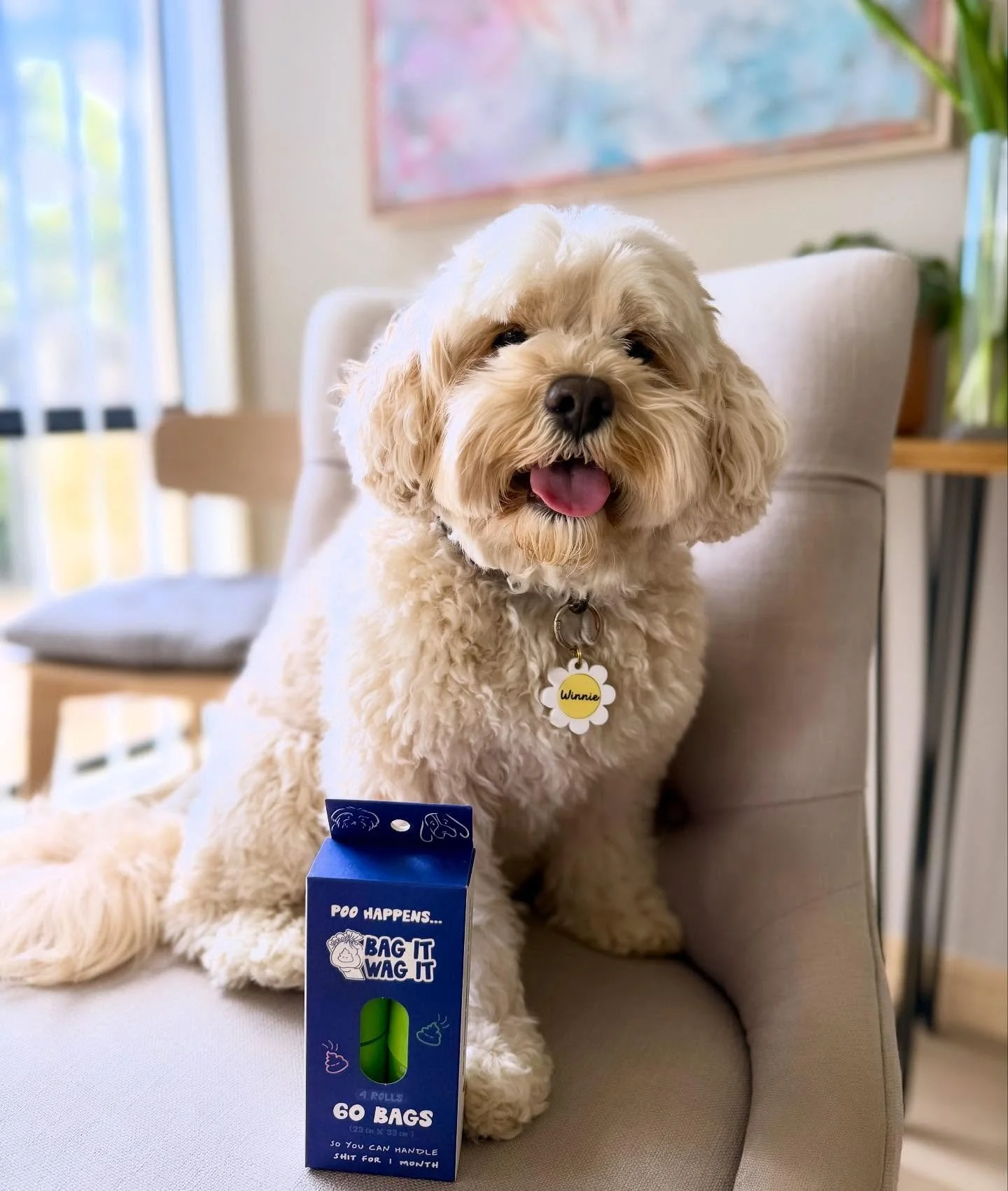 💩 happens! 
Whether it&rsquo;s a park walk, visiting schools or aged care homes, we always have to be ready for when nature calls 
and @bagitwagit are the best!

Strong, thick quality bags that open easily and make this little chore a breeze 💚✨

Ec