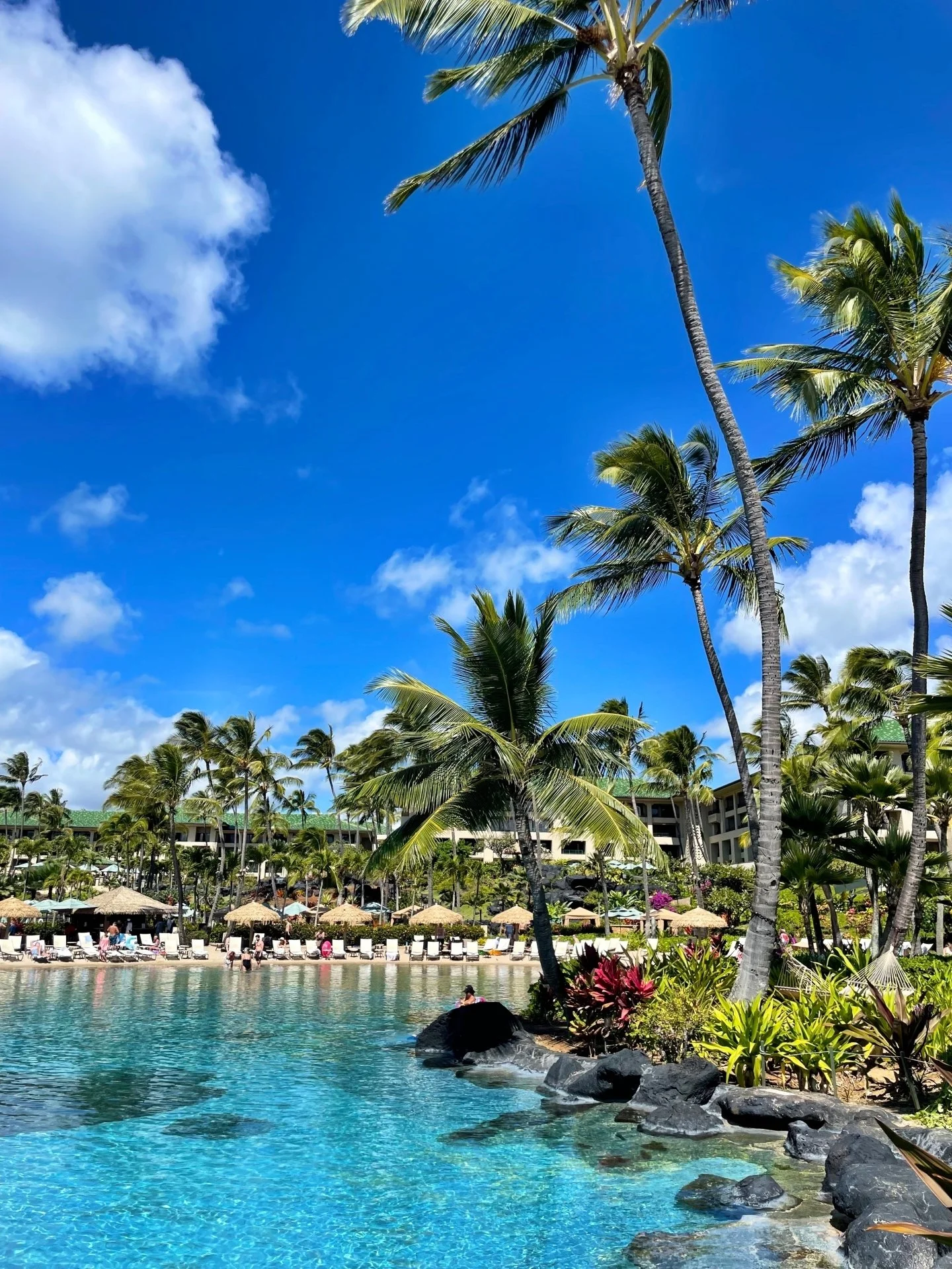 Booked a trip to Honolulu and Kona, Hawaii this week for a client! This could be your view! I can help make that happen!