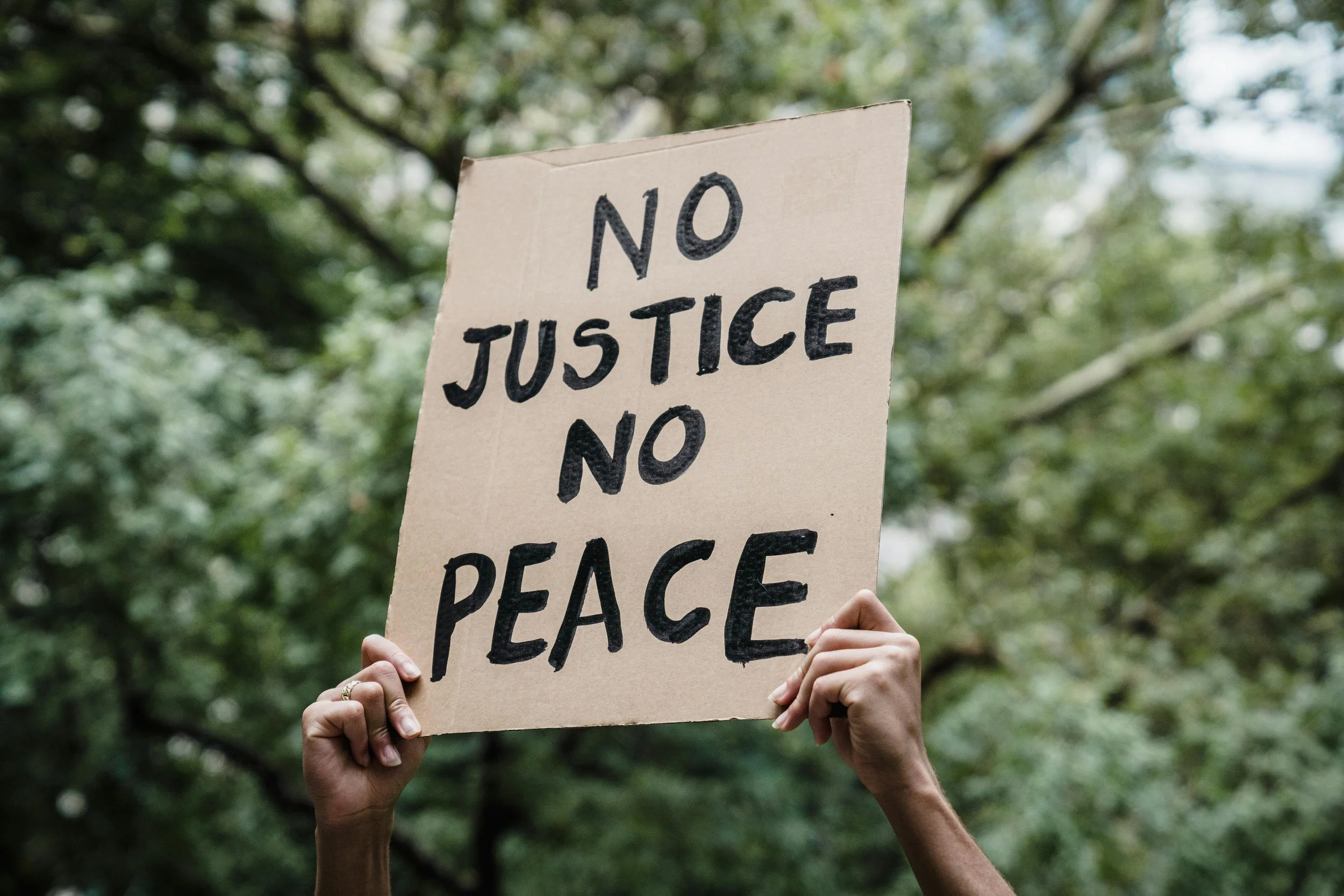 A protester holding a cardboard sign with the words 'No Justice No Peace' written in black letters against a background of green trees.